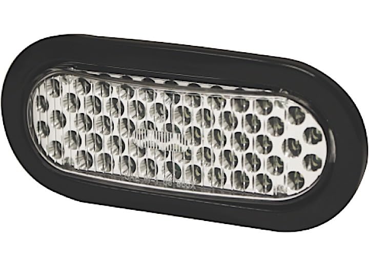 ECCO Safety 3965B Blue Oval Electric Light - Waterproof LED Work Light for Construction, Emergency, Camping & Outdoor Activities