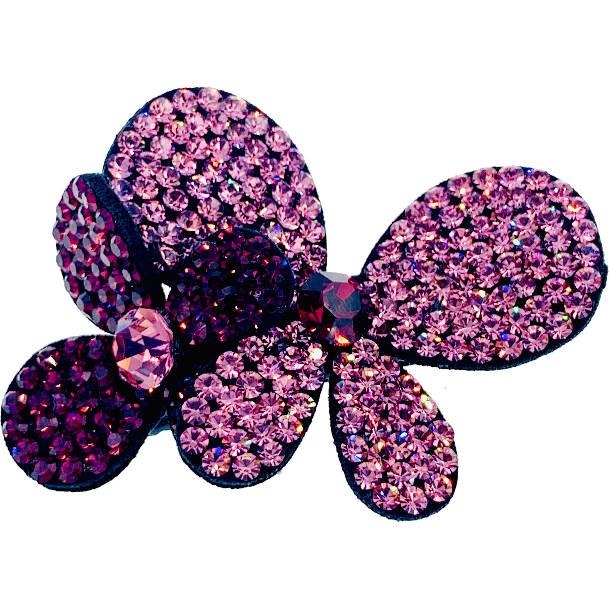 Orchid