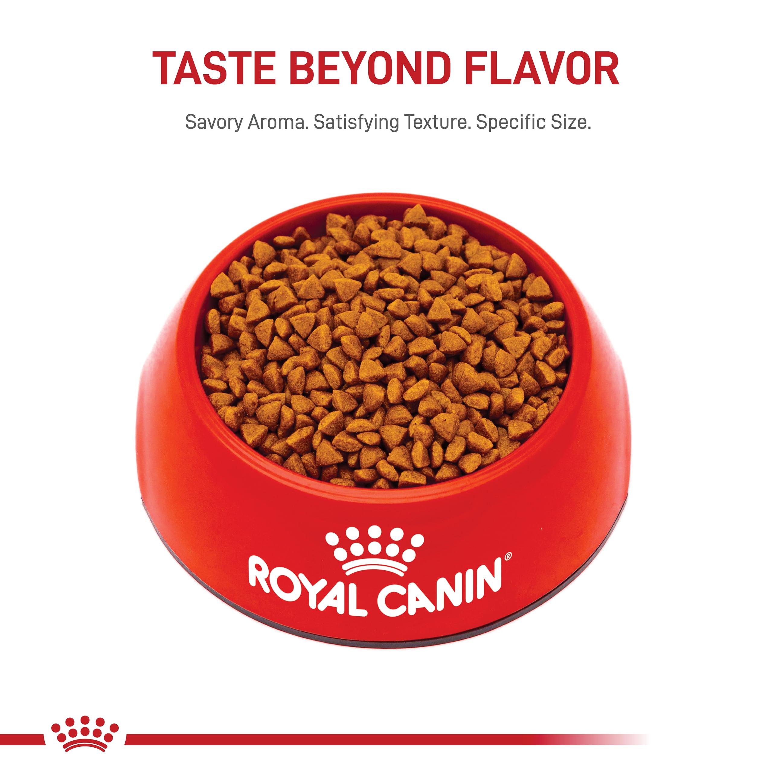 Royal Canin Small Starter Mother & Babydog Dry Dog Food - Premium Nutrition for Puppies & Nursing Dogs, 2 lb Bag - Ideal for Weaning & Early Growth Stages