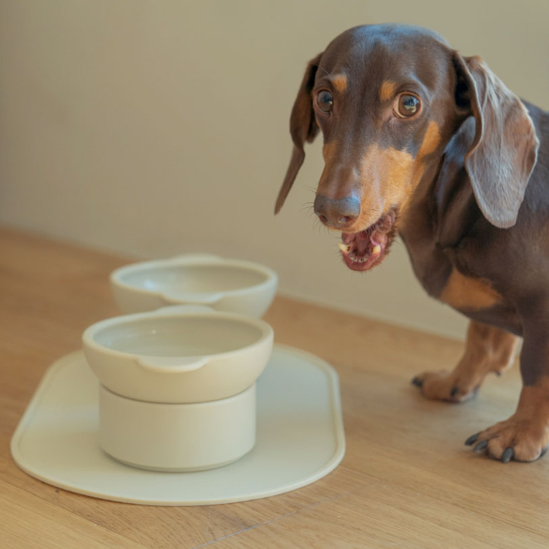 Soft Non-Slip Pet Feeding Mat - Waterproof Dog Cat Bowl Placemat in Multiple Colors | Perfect for Mealtime, Travel & Easy Cleaning