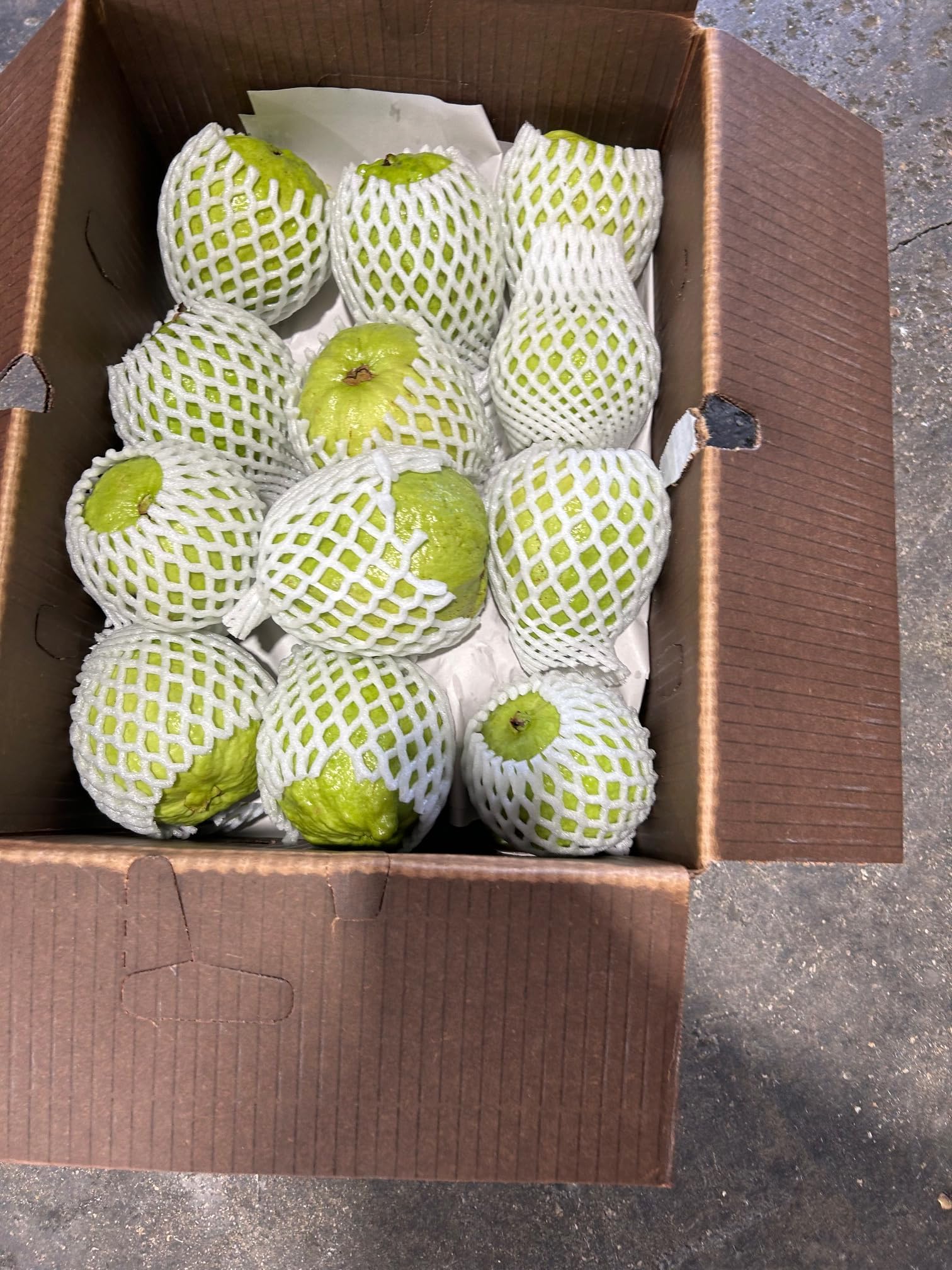 Fresh White Guava Fruit 10 lbs - Tropical Sweet Exotic Fruit for Smoothies, Juices & Healthy Snacks