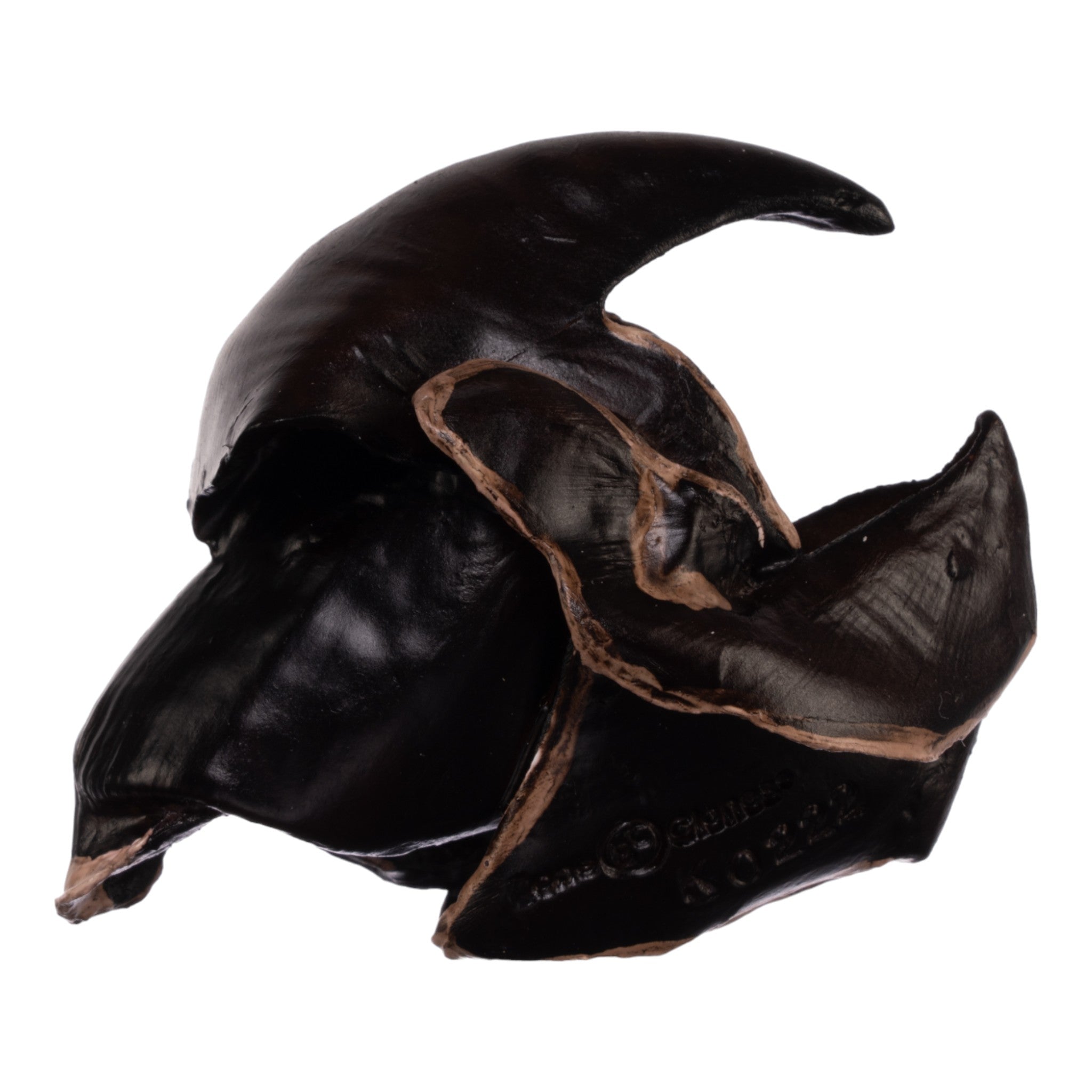 Authentic Giant Squid Beak Replica - High-Quality Marine Biology Specimen for Educational Display, Science Classroom, and Ocean-Themed Decor