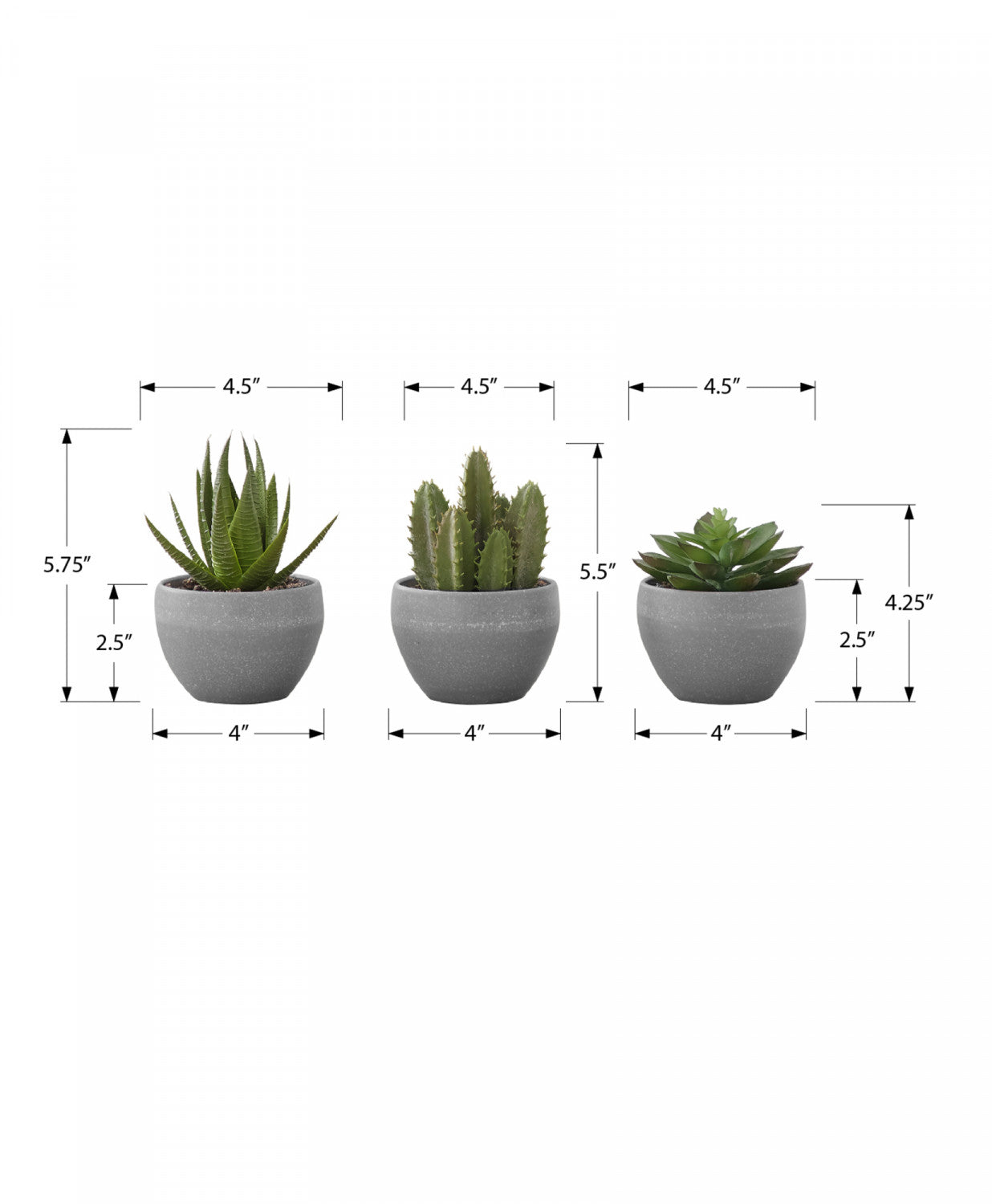 6 Pack Succulent Plants in Grey Pots - Set of 3 Live Indoor Houseplants for Home Decor, Office Desk, or Gift