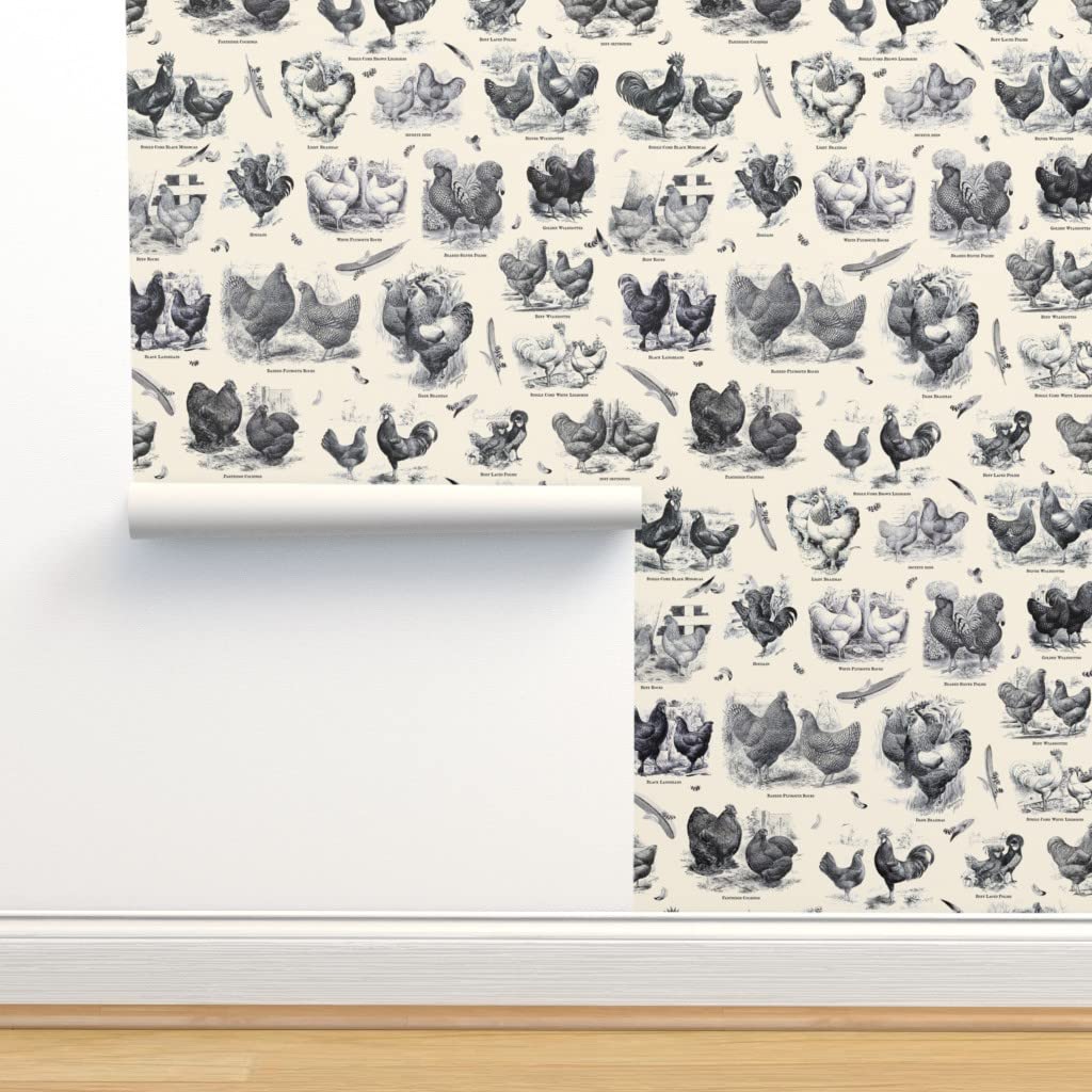 12ft x 2ft Removable Vintage Chicken Toile Wallpaper - Cream & Black Victorian Antique Design | Peel & Stick Wallpaper for Bedroom, Kitchen, Nursery Decor | Spoonflower Custom Pre-Pasted Wallpaper