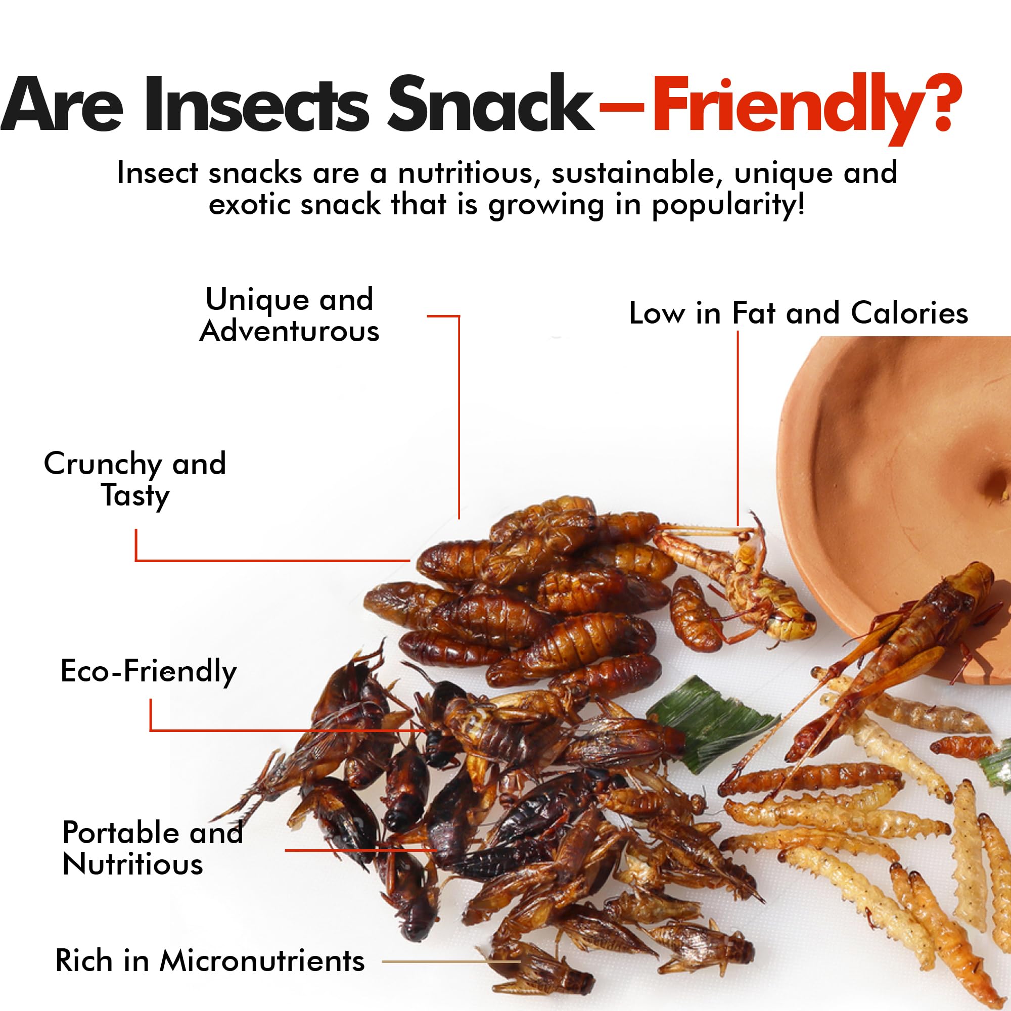 HotLix Crick-ettes Edible Crickets (6-Pack) | Crunchy Cricket Snacks, High-Protein Dried Insects for Humans, Exotic & Weird Food Gifts | Perfect for Camping, Hiking & Unique Party Snacks