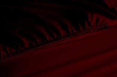 Solid Burgundy