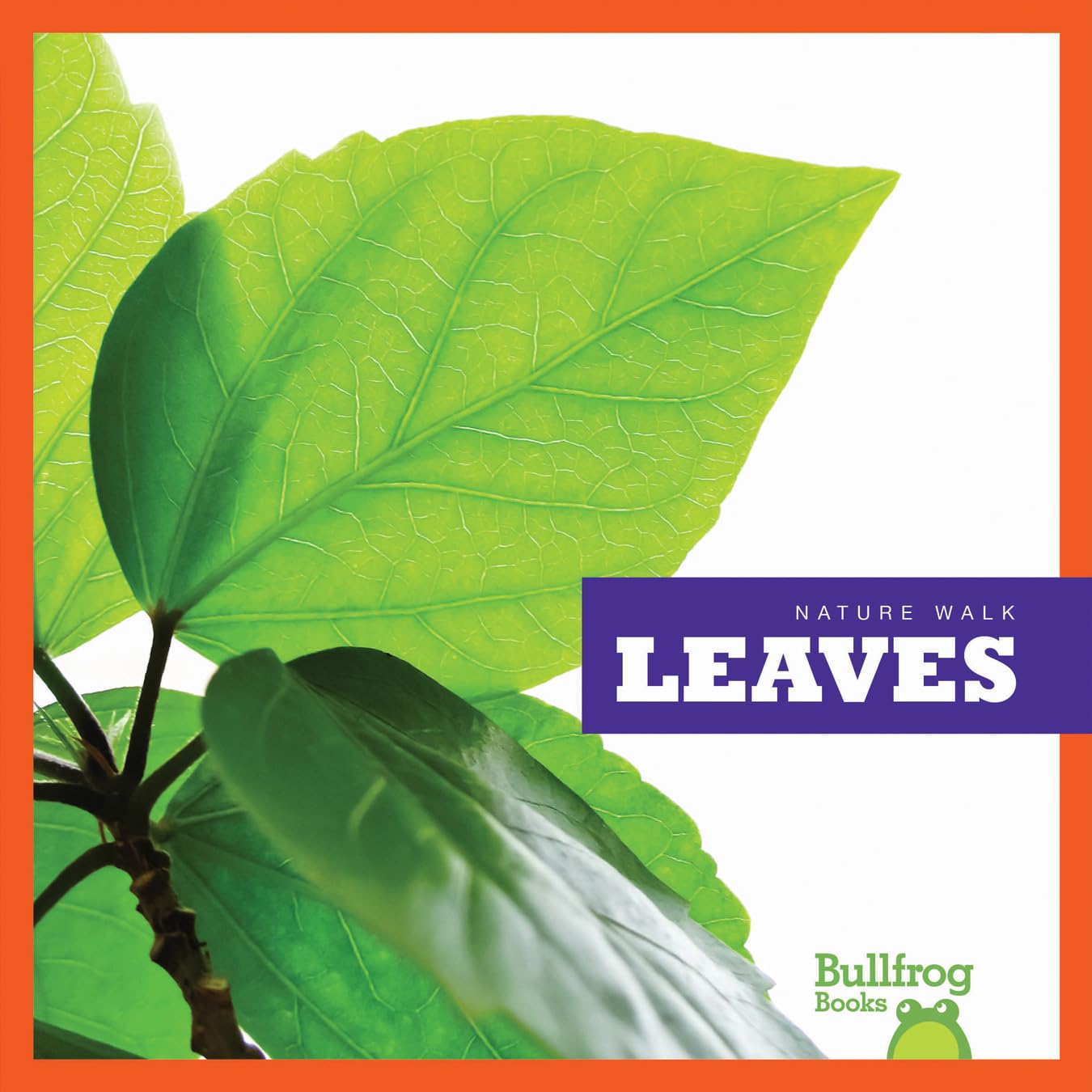 Bullfrog Books: Nature Walk - Leaves - Educational Kids Book for Outdoor Learning & Nature Exploration