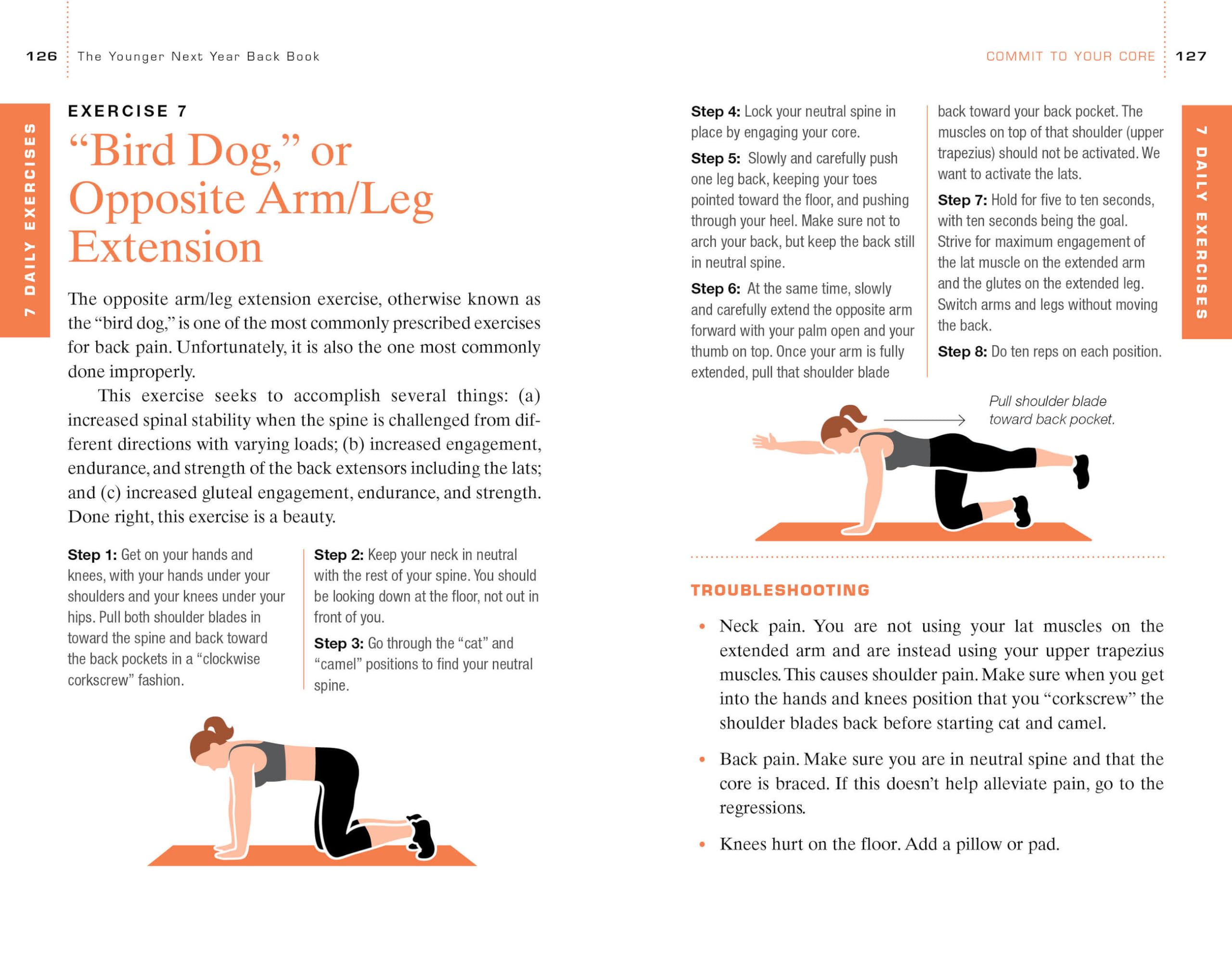 The Younger Next Year Back Book: Whole-Body Plan to Conquer Chronic Back Pain Naturally - Perfect for Office Workers, Athletes & Seniors Seeking Long-Term Relief