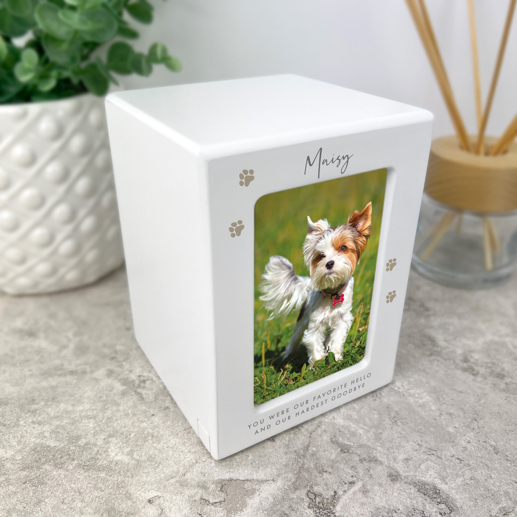 Personalized Neutral Paw Prints Pet Cremation Urn for Ashes - Holds 0.51 Liters (9.5cm x 6cm) with Photo Portrait - Perfect Memorial for Dogs, Cats & Beloved Pets at Home or Memorial Services