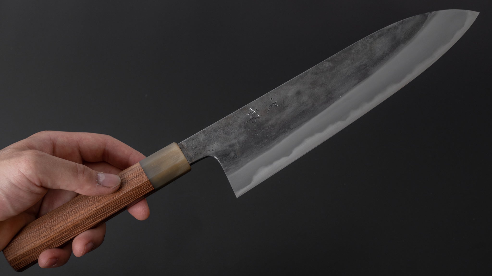 Premium Jiro Tsuchime Wa Gyuto 240mm Japanese Chef Knife - Taihei Tagayasan Handle (#305) - Perfect for Sushi, Meat Cutting & Professional Kitchen Use