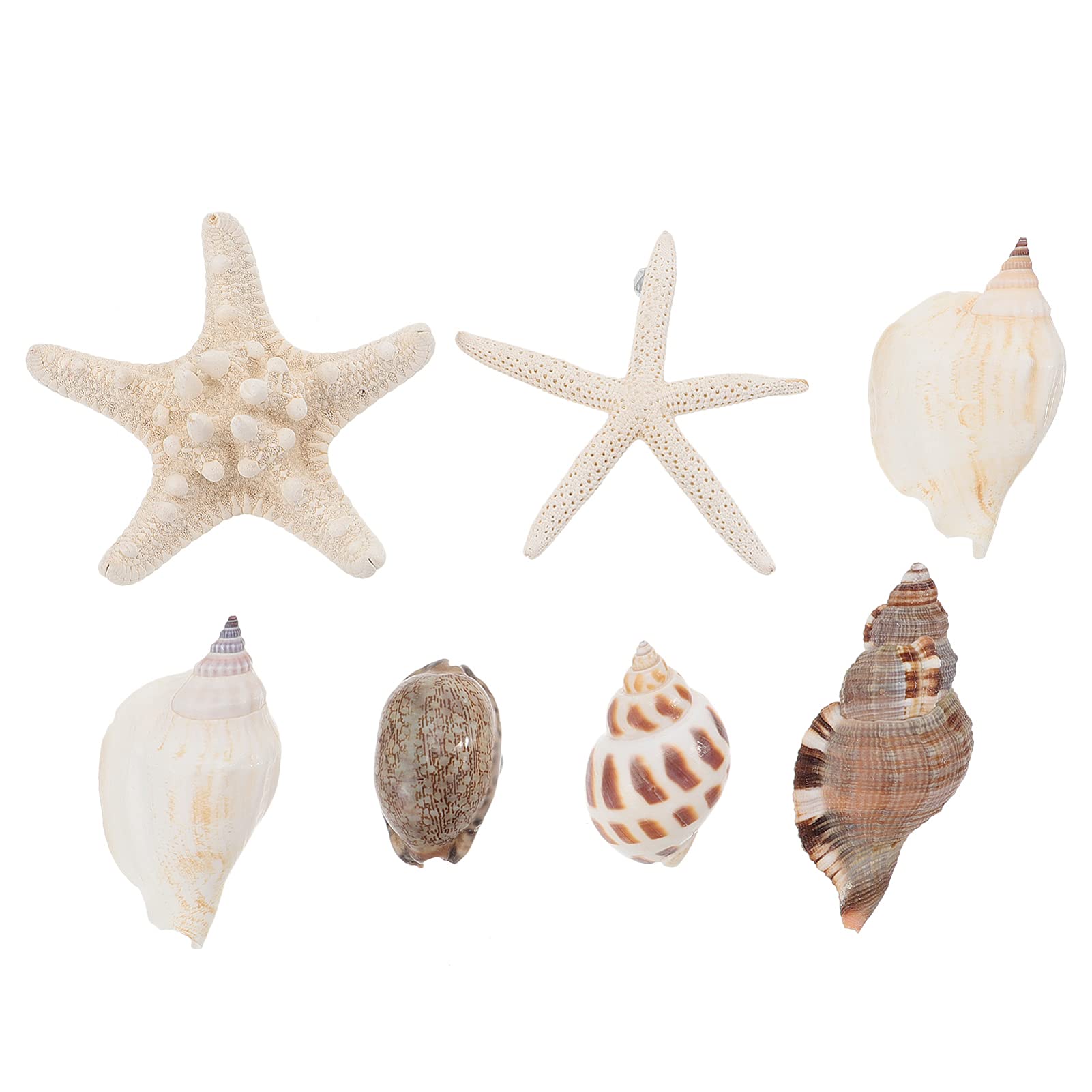NUOBESTY 7PCS 3D Seashell Conch Shape Fridge Magnets - Strong Magnetic Refrigerator Stickers for Kitchen, Whiteboard, Locker - Nautical Beach Themed Home Decor (Random Style) | Perfect for Beach House, Coastal Kitchen & Office Organization