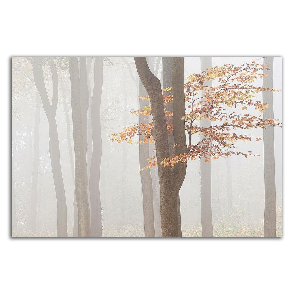 Arnhem Park Zypendaal Canvas Art Print by Wilco Dragt - Framed Ready to Hang Wall Decor for Living Room, Bedroom & Office