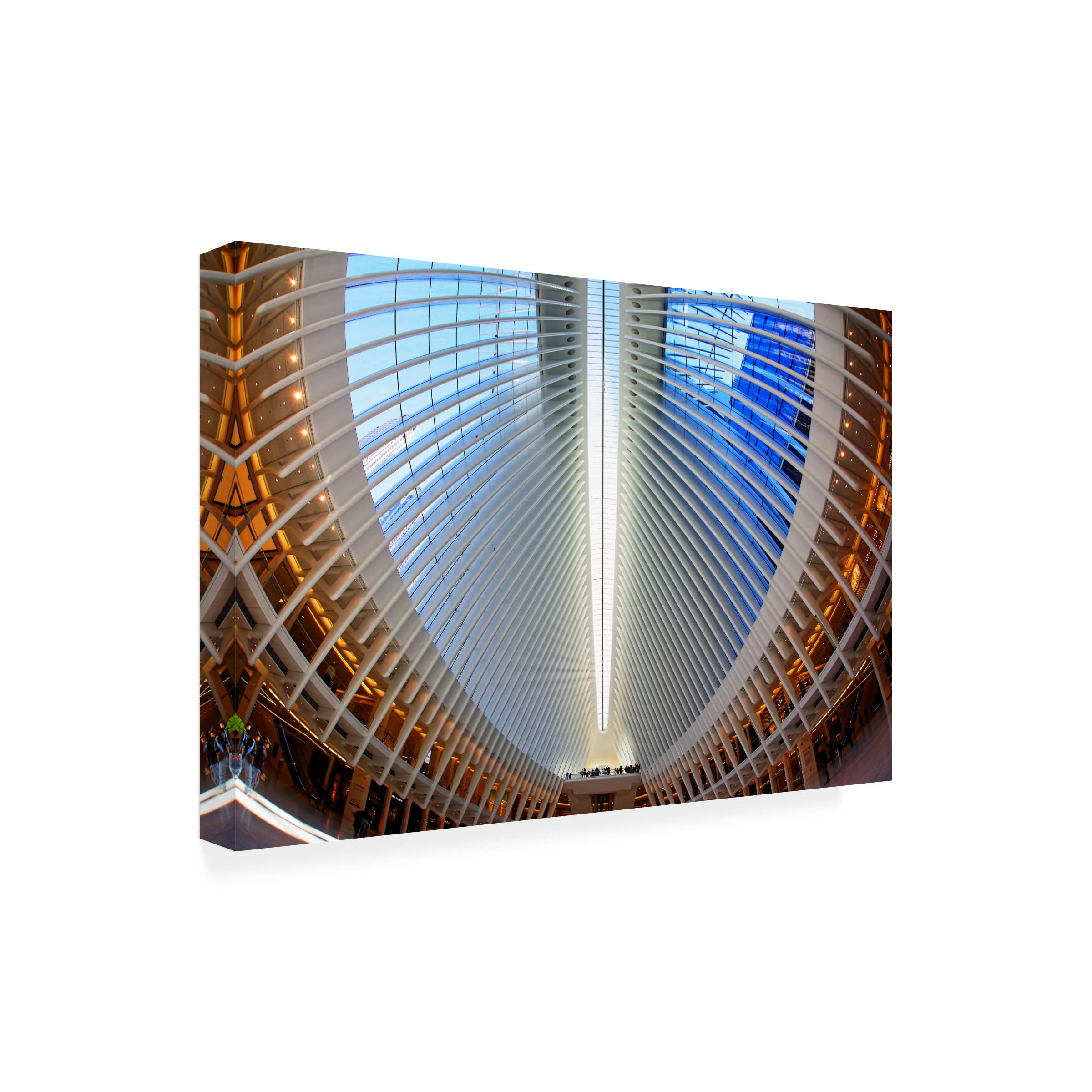 Trademark Fine Art 'Oculus' Canvas Wall Art Print by Martin Fleckenstein - Modern Abstract Painting for Living Room, Office & Bedroom Decor