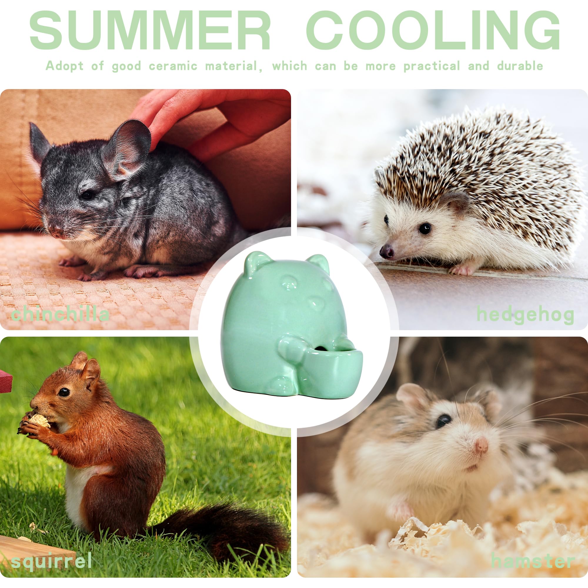 No-Drip Ceramic Hamster Water Bottle for Guinea Pigs, Rabbits, Hedgehogs & Chinchillas - Small Animal Water Dispenser with Leak-Proof Design (Cyan) - Perfect for Cages, Habitats & Travel Carriers