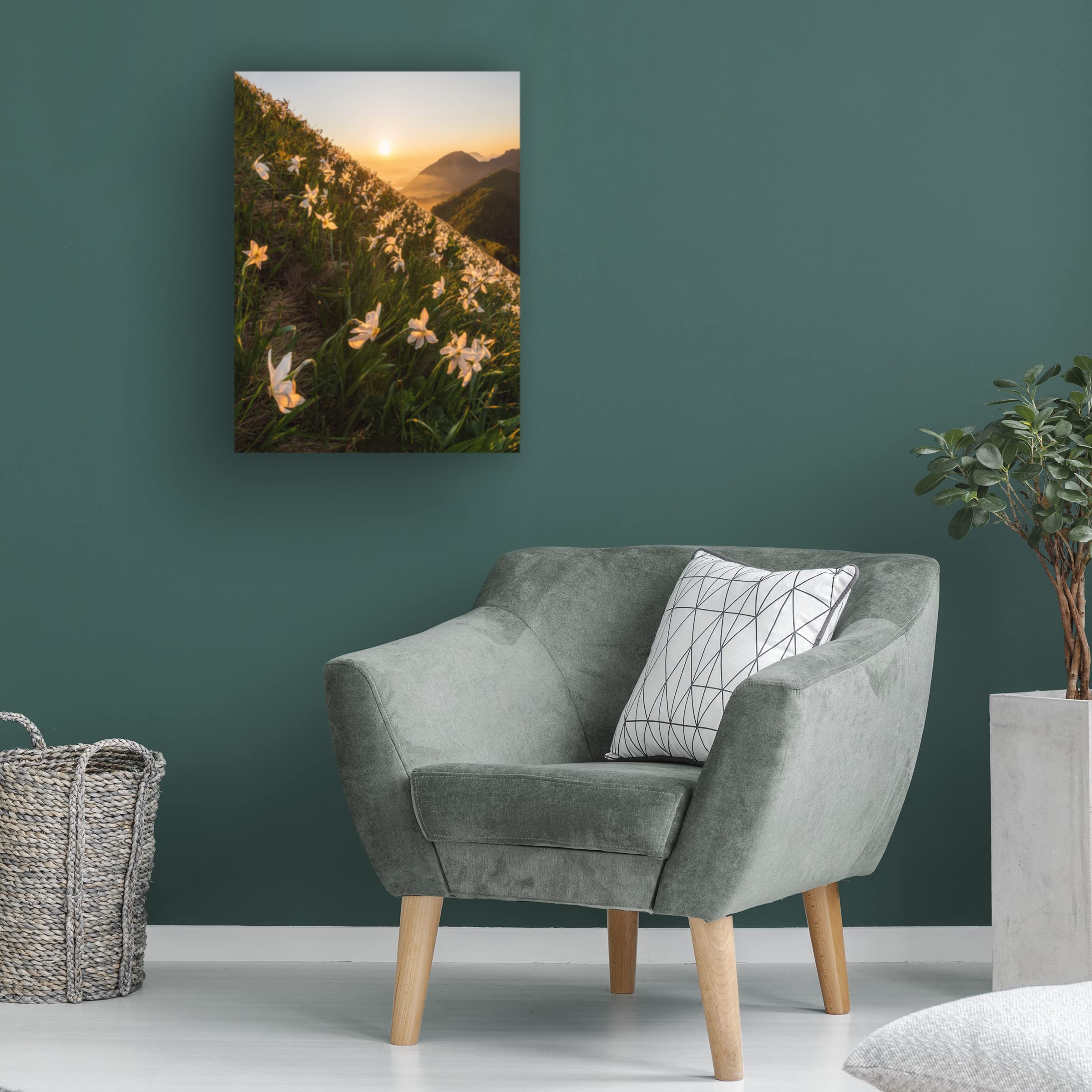 Trademark Fine Art 'Daffodils' by Ales Krivec - Stretched Canvas Wall Art Print - Vibrant Floral Home Decor for Living Room, Bedroom & Office