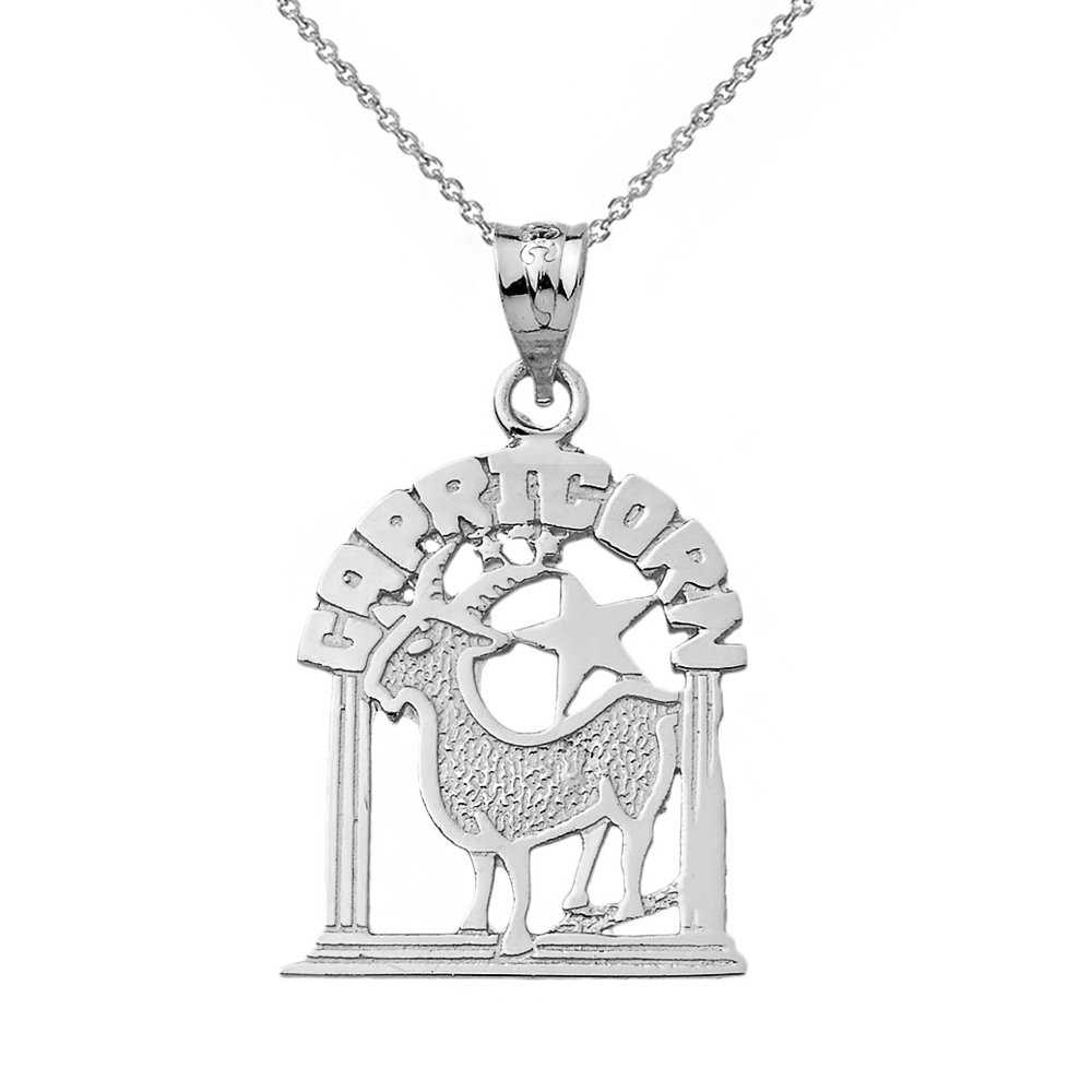 10K White Gold Capricorn Zodiac Sign Charm Pendant Necklace for Women - Elegant Horoscope Jewelry Gift for Birthday, Anniversary & Special Occasions