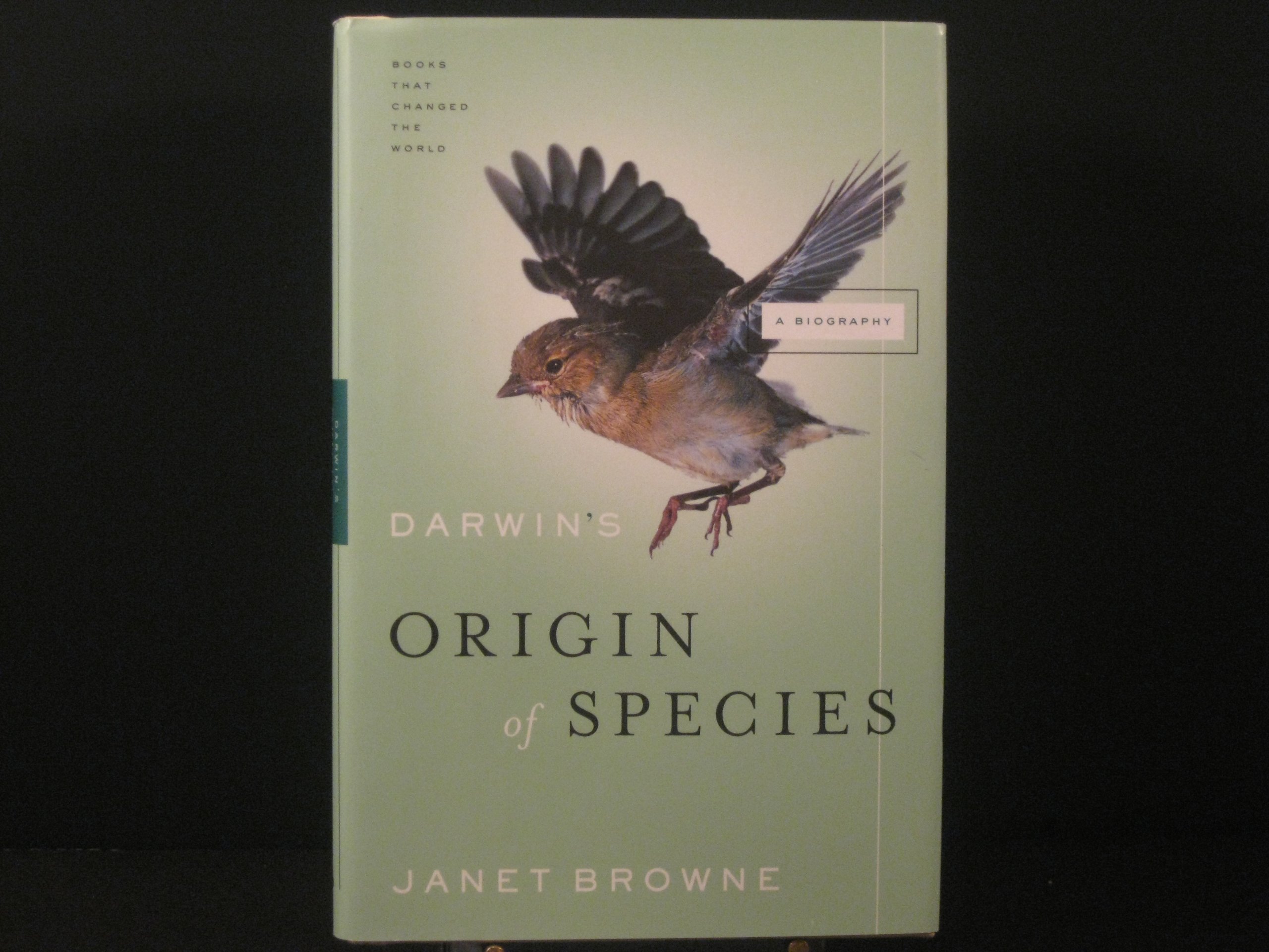 Darwin's Origin of Species Book - Biography of Evolutionary Theory | Books That Changed the World | Perfect for Science Enthusiasts & History Readers
