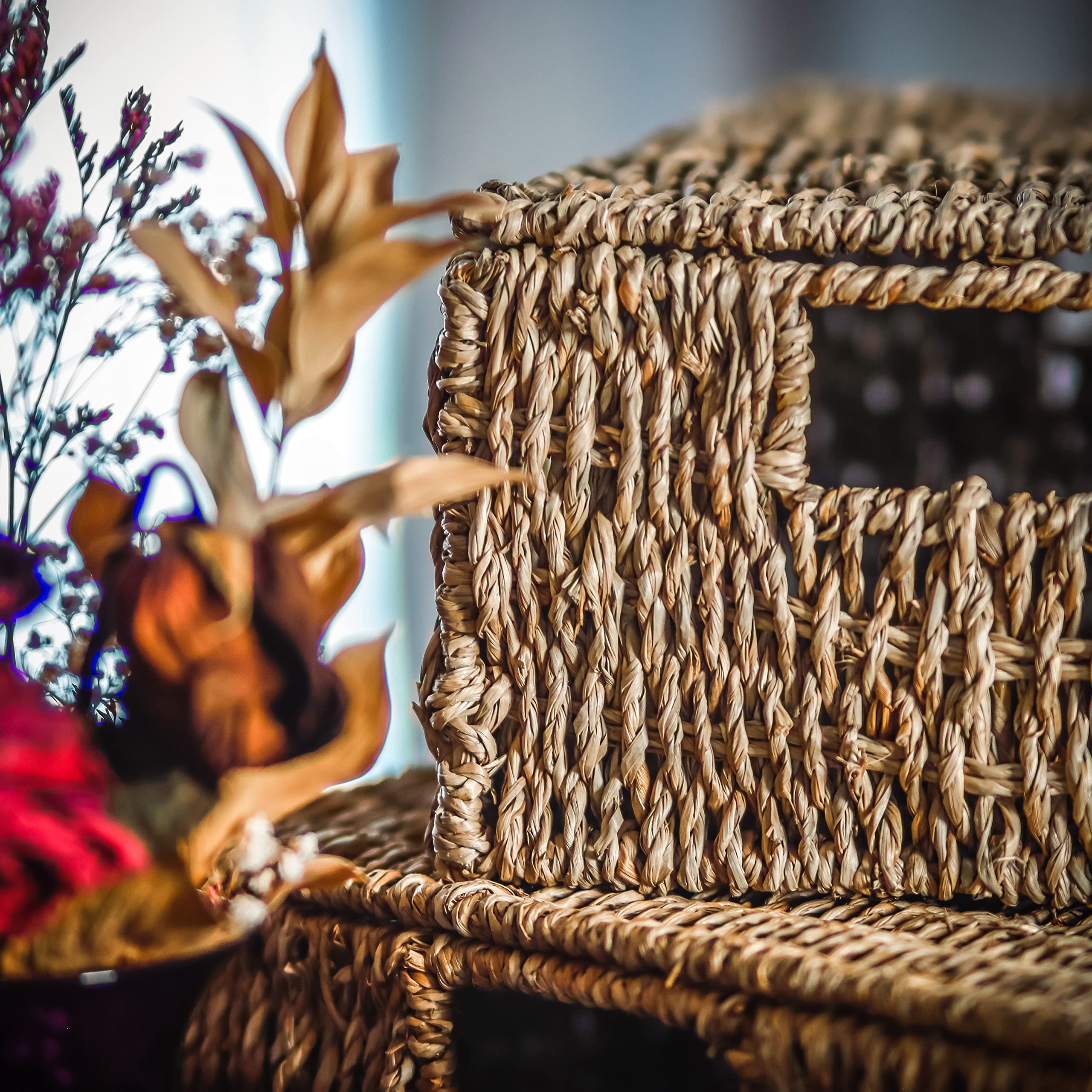 Natural Seagrass Baskets with Lids - Set of 3 for Home Storage