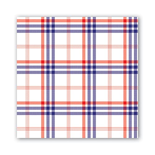 Paisley & Plaid (Red White and Blue)