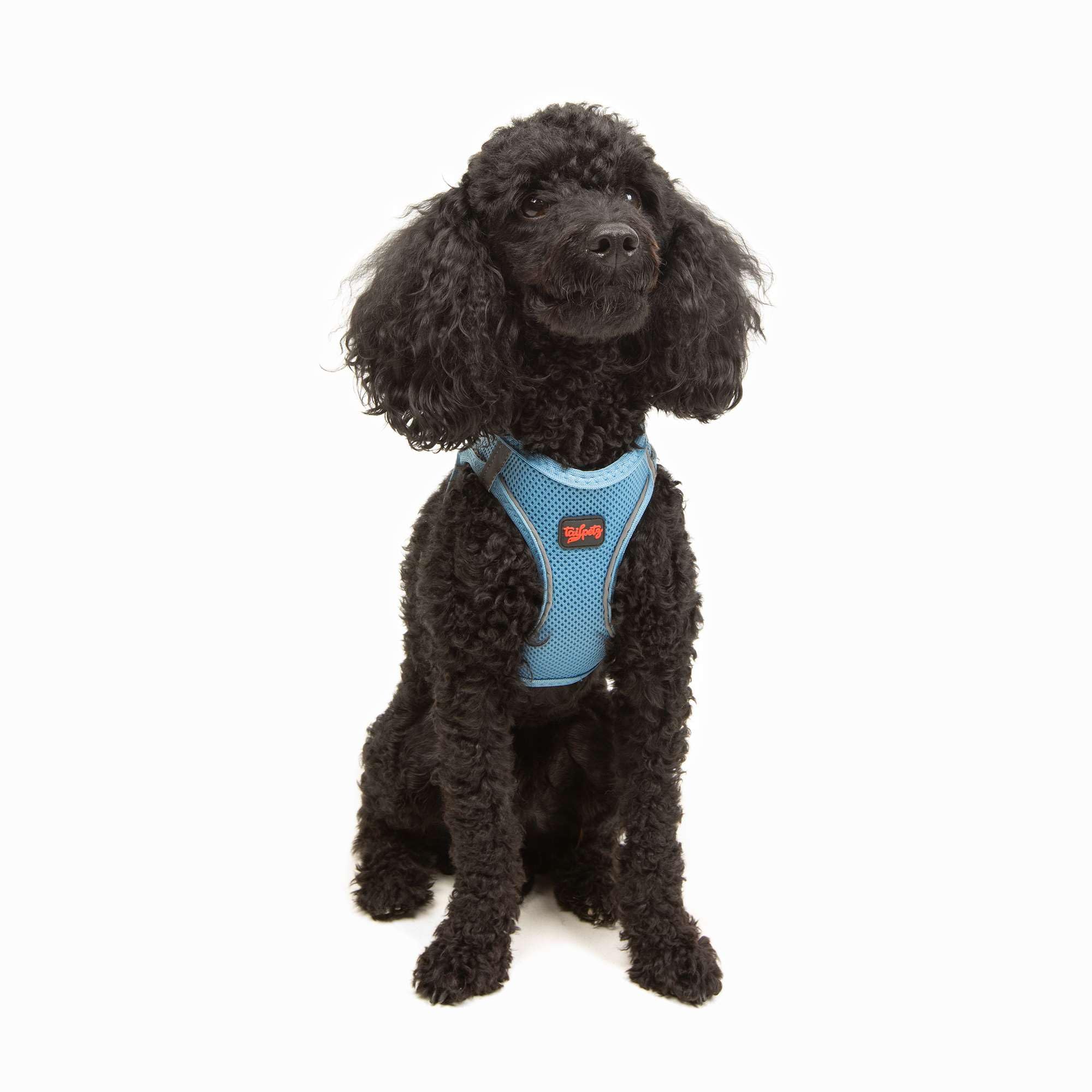 Tailpetz Adjustable No-Pull Dog Harness for Small Dogs - Reflective Step-in Puppy Vest for Training (Blue, XS) - Perfect for Walking, Jogging & Outdoor Adventures