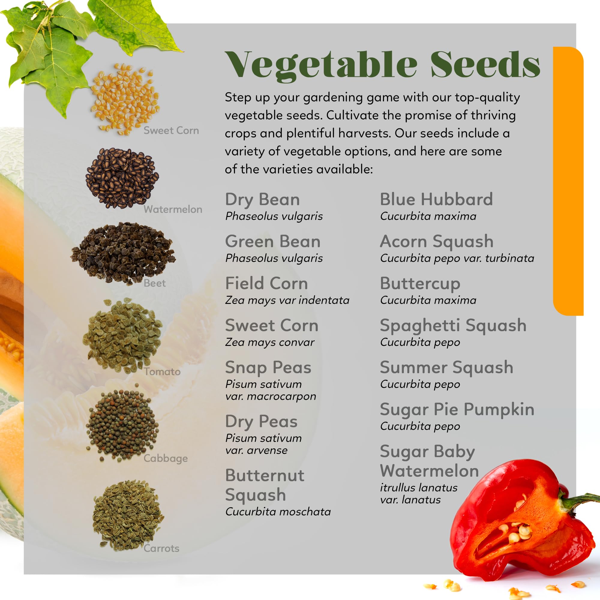 **Organic Heirloom Seed Kit - 70+ Varieties, 50,000+ Seeds - Non-GMO Fruits, Vegetables & Herbs for Home Gardening - Includes Culinary & Medicinal Herbs - Perfect for Backyard Farming, Urban Gardening & Sustainable Living**