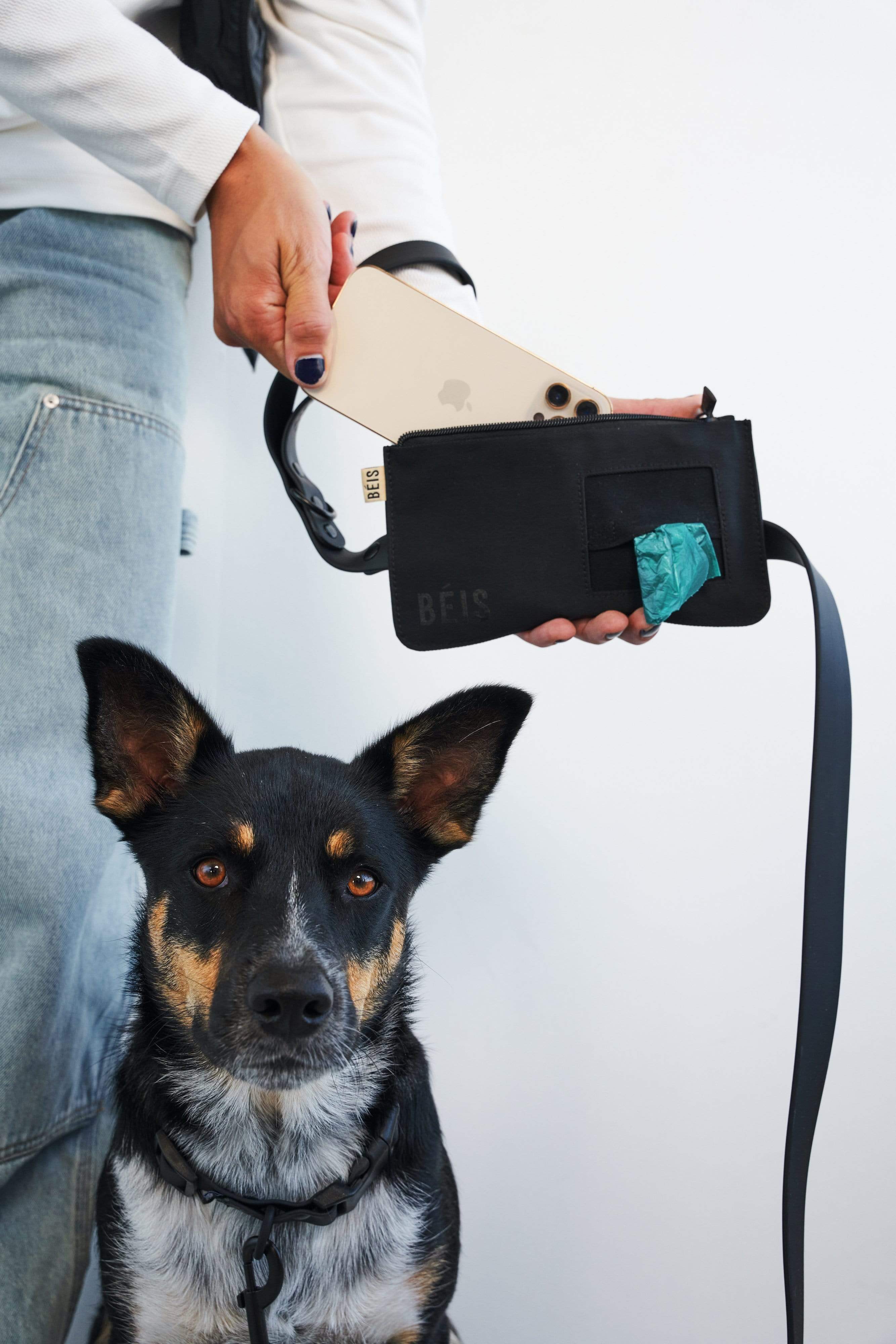 Durable and Adjustable XS/S Pet Leash for Small Dogs - Perfect for Walking, Training & Outdoor Adventures