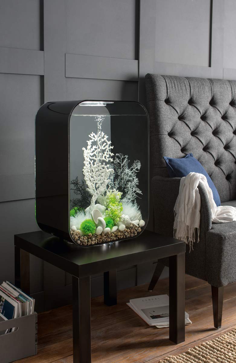 BiOrb 46093.0 Sea Fan Small Black Aquarium - Compact Saltwater Fish Tank for Home & Office Decor | Perfect for Marine Life Enthusiasts