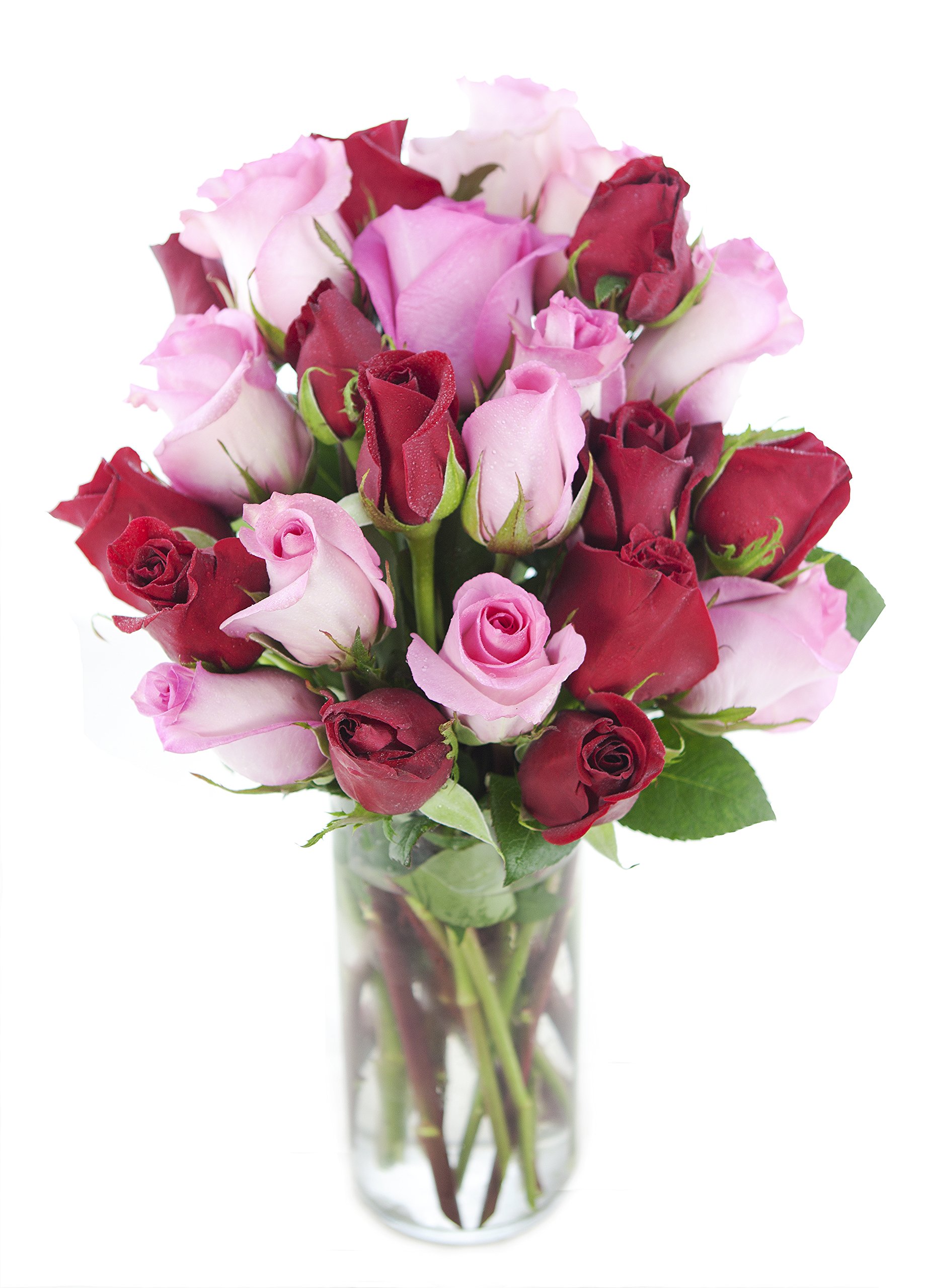 KaBloom Premium Fresh Roses - 24 Long Stem Red & Pink Roses with Glass Vase | Next Day Delivery | Perfect Gift for Mother's Day, Valentine's Day, Birthday, Anniversary & Get Well Wishes | Elegant Home Decor & Wedding Centerpiece Flowers