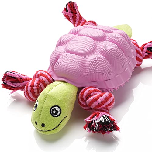 Pink(Turtle)
