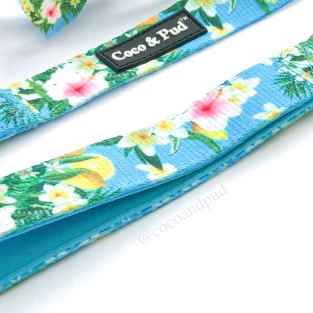 Flamingo Tropical Cat Lead - Adjustable Pet Leash for Small & Medium Cats - Perfect for Walking, Travel & Outdoor Adventures