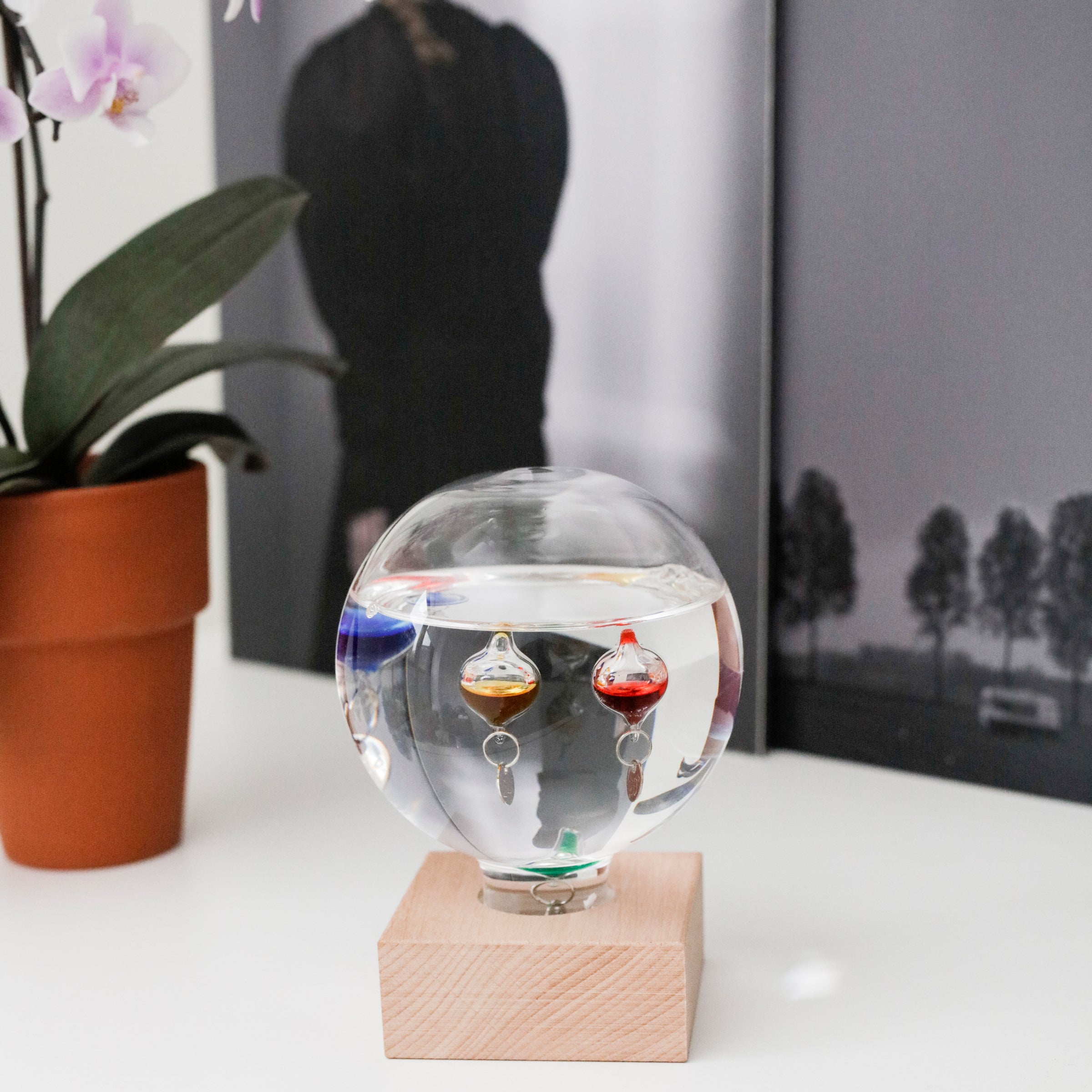 Galileo Thermometer - Classic Glass Weather Instrument for Indoor & Outdoor Temperature Measurement | Perfect for Home, Office, and Garden Decor
