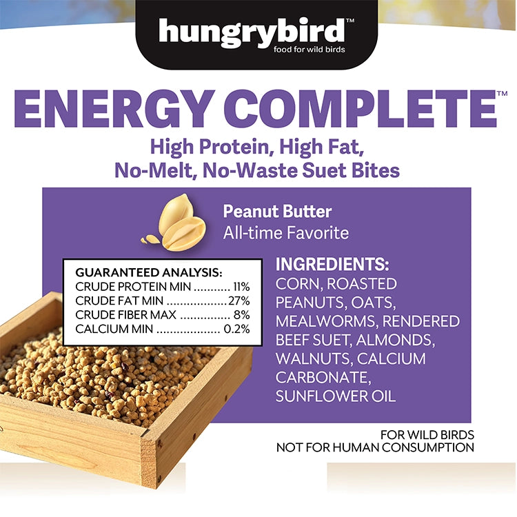Energy Complete Blended Berry Suet Bites for Birds - High Protein Wild Bird Food, Nutritious Berry Flavor Suet Cakes - Perfect for Backyard Bird Feeders, Woodpeckers & Winter Bird Feeding
