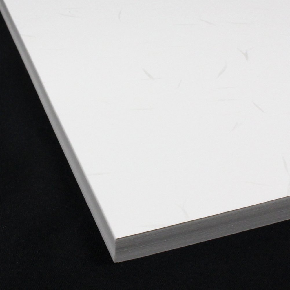 Kokuyo KB-W119W A4 Tairei Paper for PPC - Premium Japanese Import for Office Printing & Document Archiving
