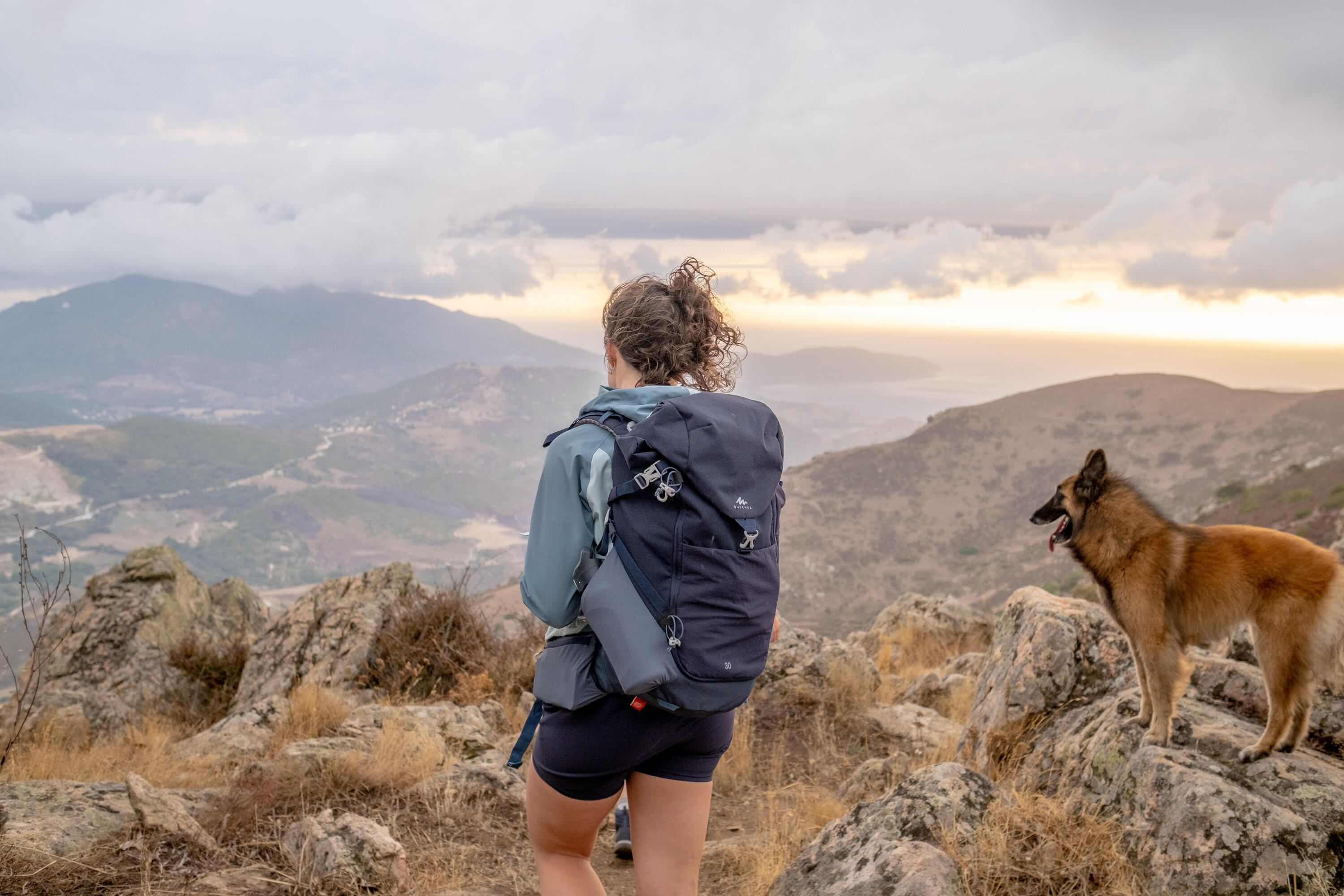 Quechua MH500 30L Lightweight Hiking Backpack - Waterproof & Durable for Outdoor Adventures, Camping & Travel
