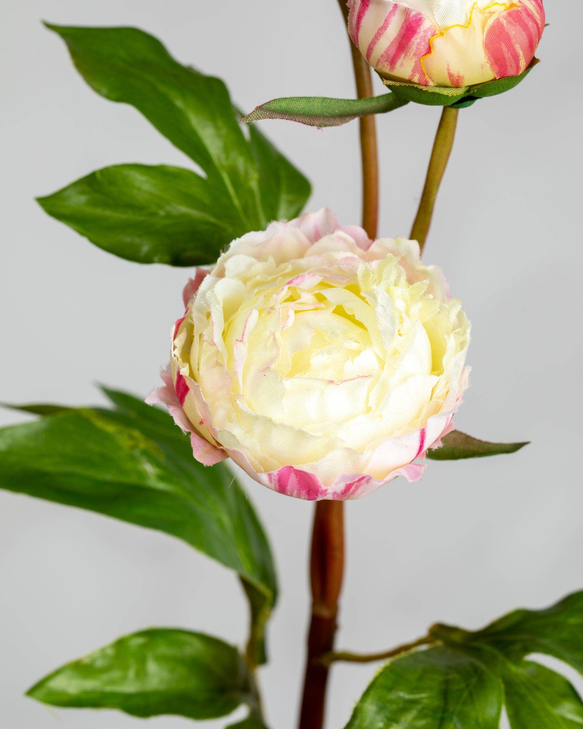 Artificial White and Pink Peony Spray - 19