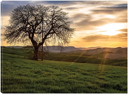 The Tree