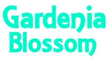 Gardenia Blossom