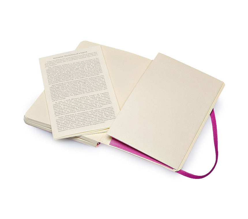 Premium Moleskine Colored Ruled Notebook - Large (5
