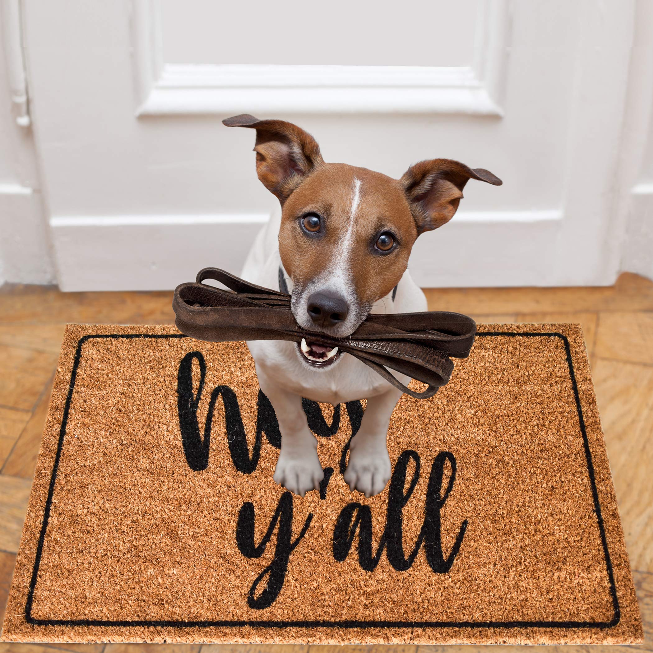 Hey Y'all Natural Coir Doormat - 29.5 x 17.5 Inch Non-Slip Entryway Rug for Farmhouse, Porch & Front Door - Welcome Mat for Southern Homes & Country Decor
