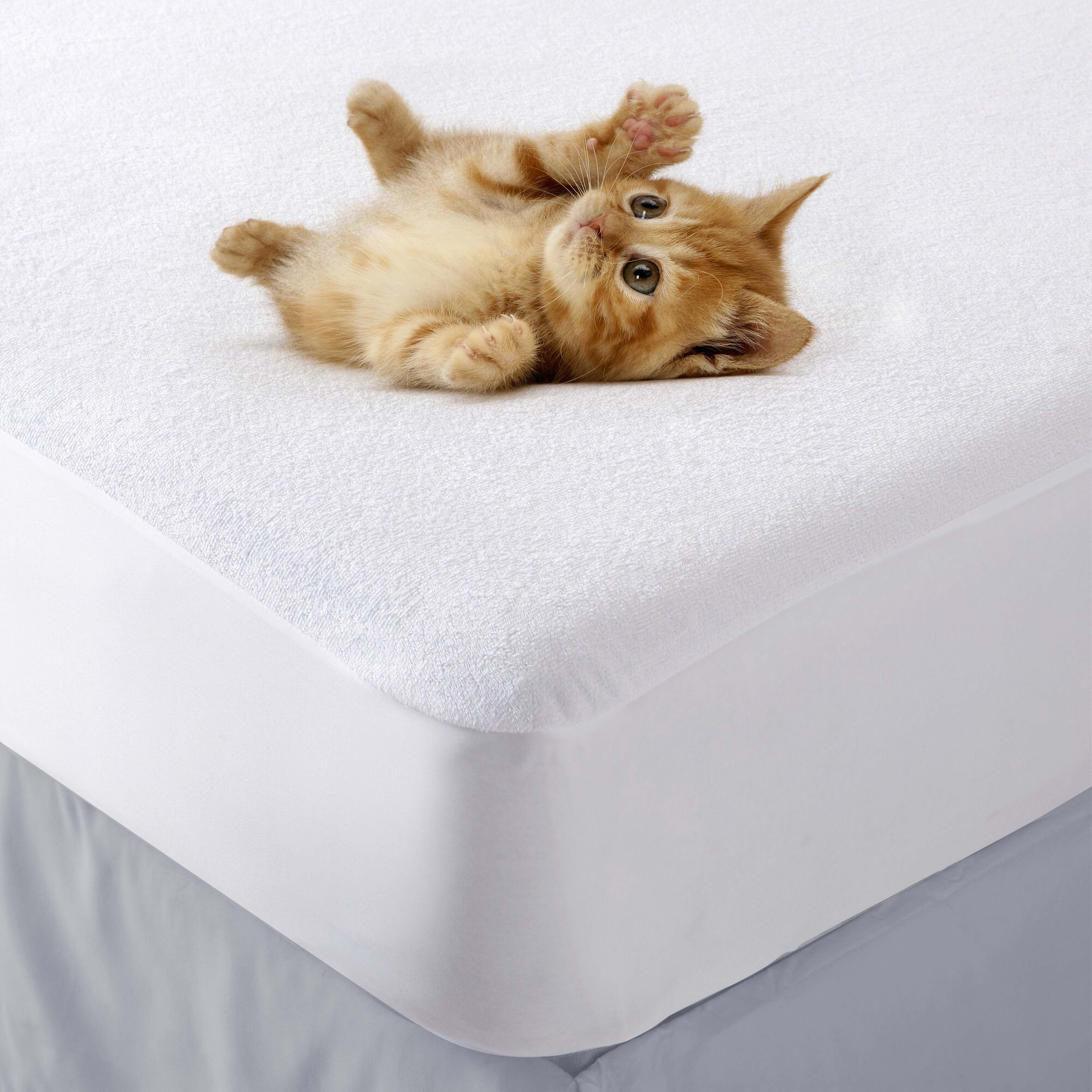 Hypoallergenic Waterproof Cotton Mattress Protector - Fitted Bed Sheet for Allergy Relief & Bedwetting Protection | Ideal for Kids, Adults & Sensitive Skin