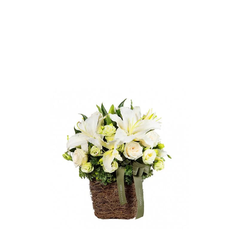 Sympathy Gifts for Loss of Loved One - Thoughtful Condolence Presents for Funeral, Memorial & Bereavement Comfort - Perfect for Friends & Family in Grief
