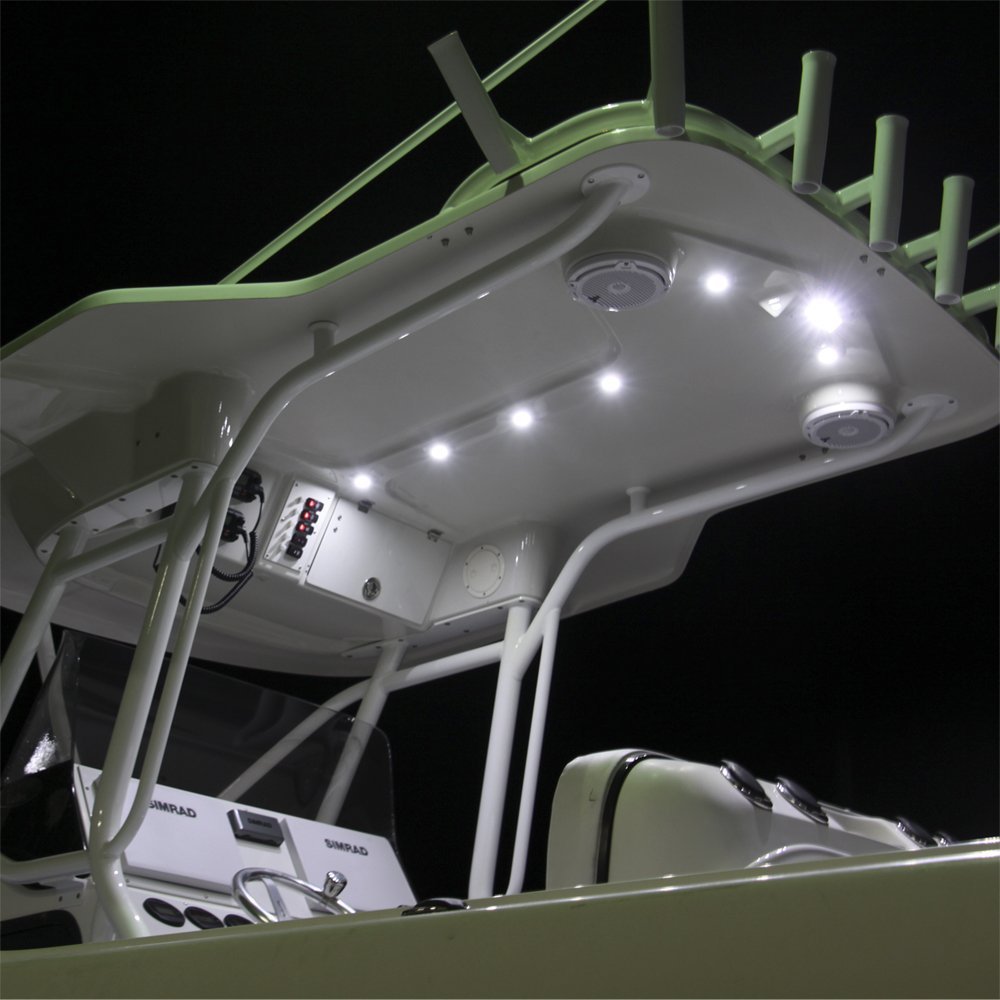 Lumitec Capri2 LED Flood Light - Flush Mount Dual Color White/Blue - Powder Coated Marine Grade Housing - Perfect for Boats, Docks, and Outdoor Lighting