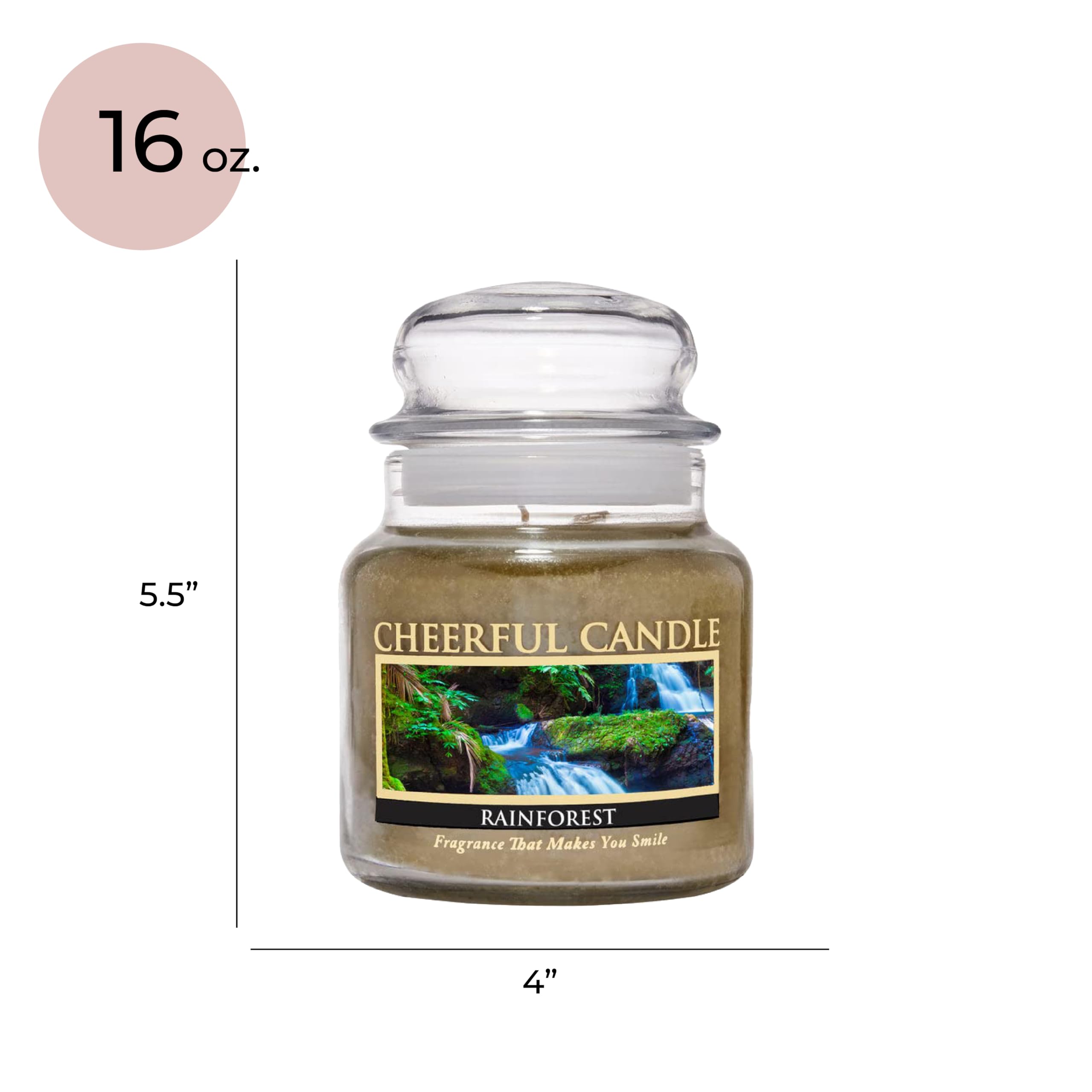 Rainforest Scented Candle - 16oz Jar with 80 Hours Burn Time, Aromatic Soy Wax Candle for Home, Office & Spa Relaxation - Perfect Gift for Women