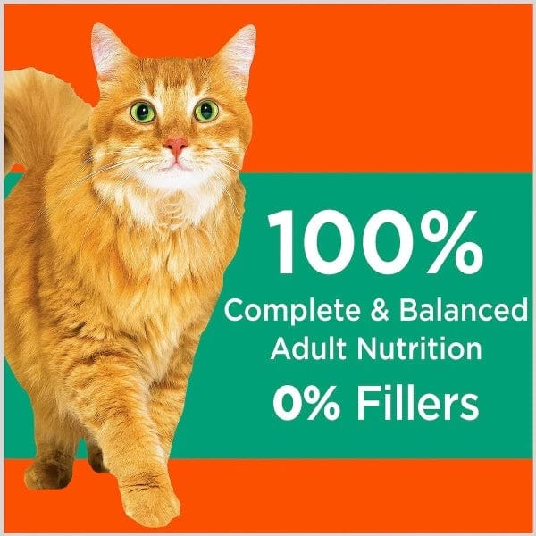 IAMS Proactive Health Adult Hairball Care Dry Cat Food - Premium Nutrition for Hairball Control & Digestive Health - Ideal for Indoor Cats & Long-Haired Breeds