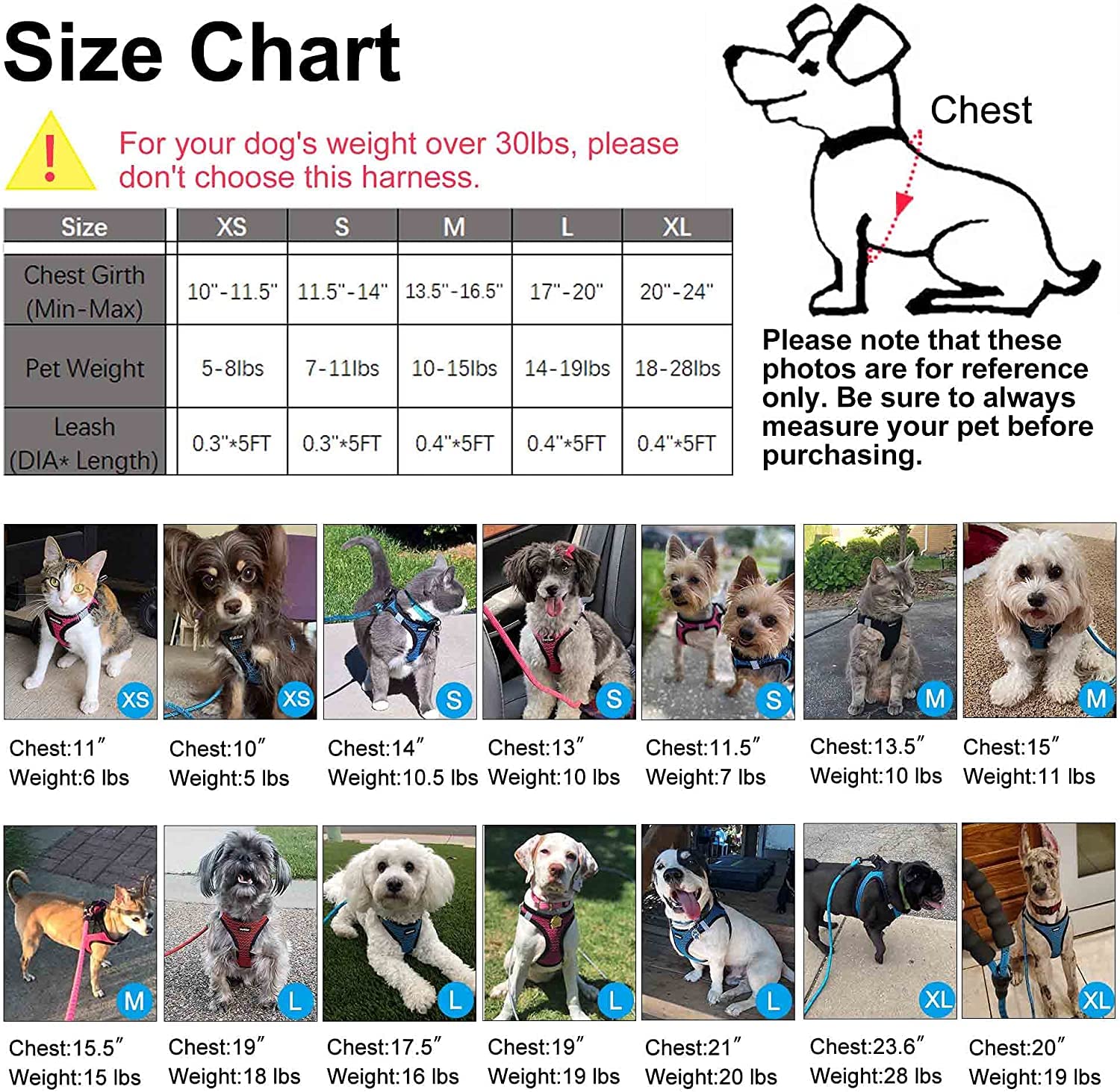 Step-in Dog Harness - Breathable Puppy & Cat Vest for Small to Medium Dogs - Adjustable Pet Harness for Walking & Training - Beige