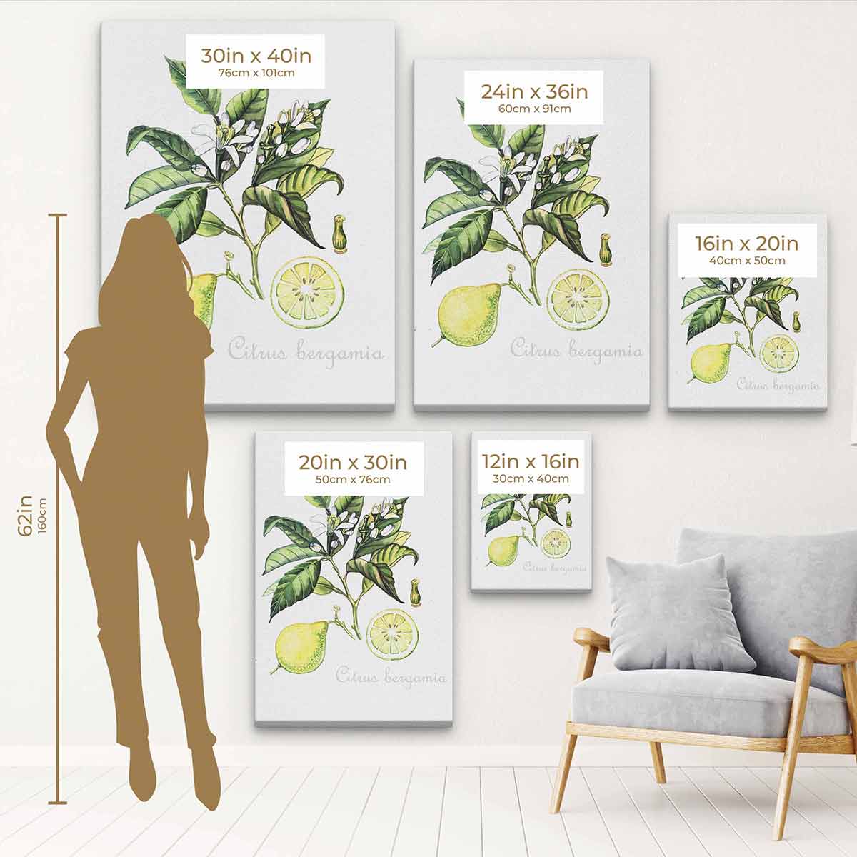 Green Citrus Wall Art Canvas Print - Modern Home Decor for Living Room, Bedroom & Office - 5643