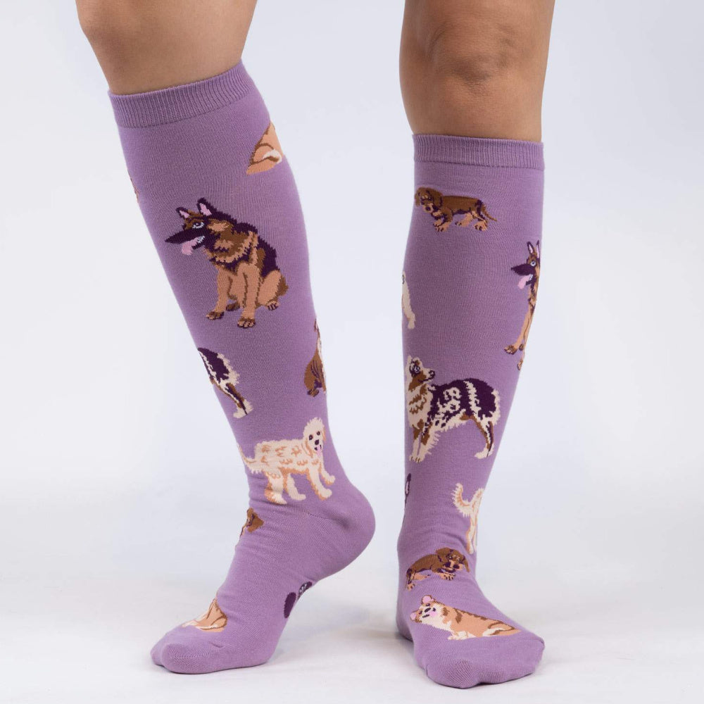 Stay Pawsitive Knee High Socks for Women - Fun & Comfortable Novelty Socks - Perfect for Work, Gifts, and Everyday Wear
