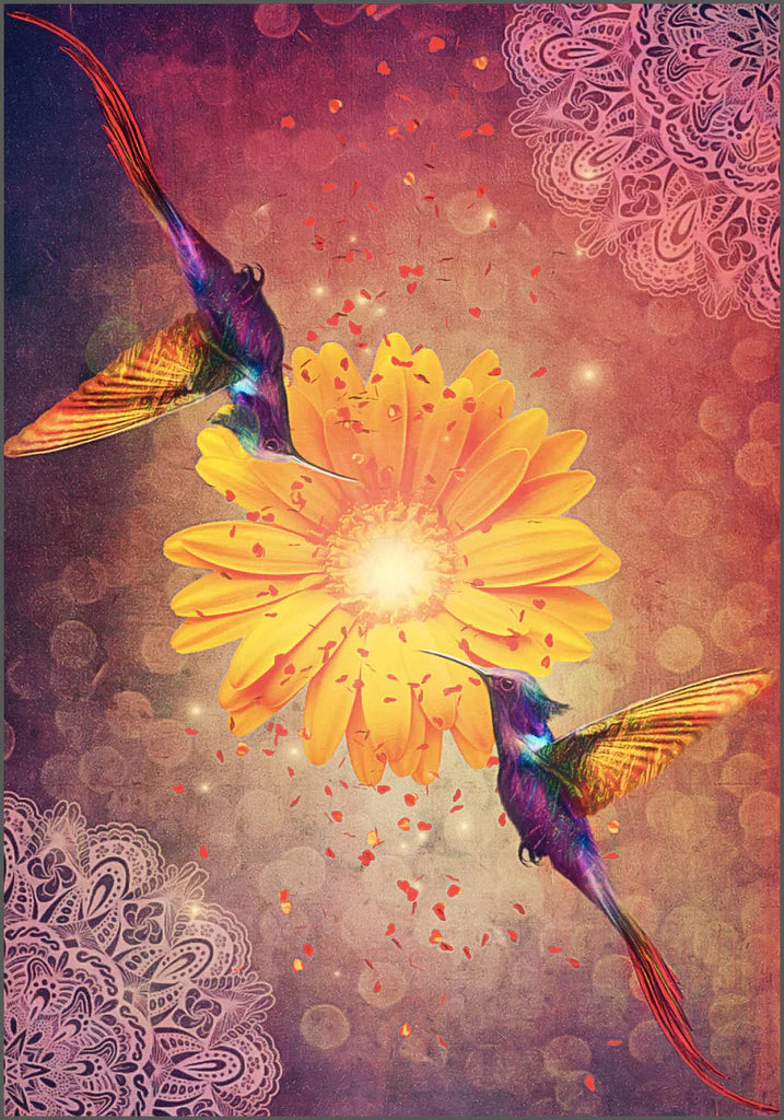 Hummingbird Wisdom Oracle Cards - Spiritual Guidance & Intuitive Readings for Meditation, Healing & Self-Discovery