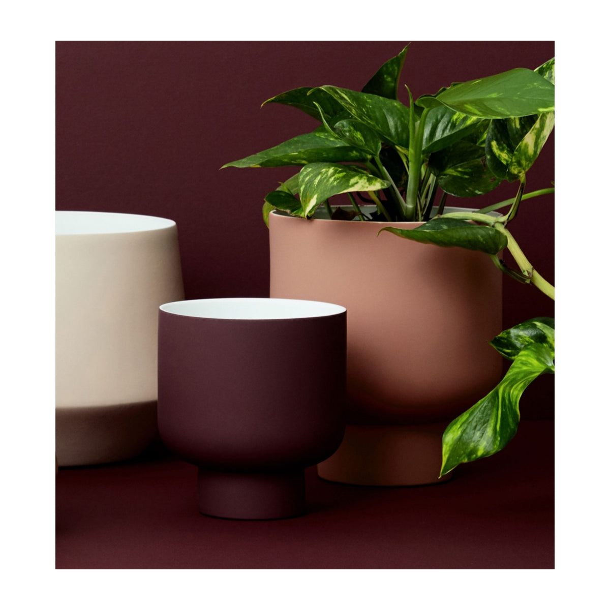 Fergus Small Planter - Modern Indoor/Outdoor Flower Pot for Home Decor, Office, Garden, and Balcony | Perfect for Succulents, Herbs, and Small Plants