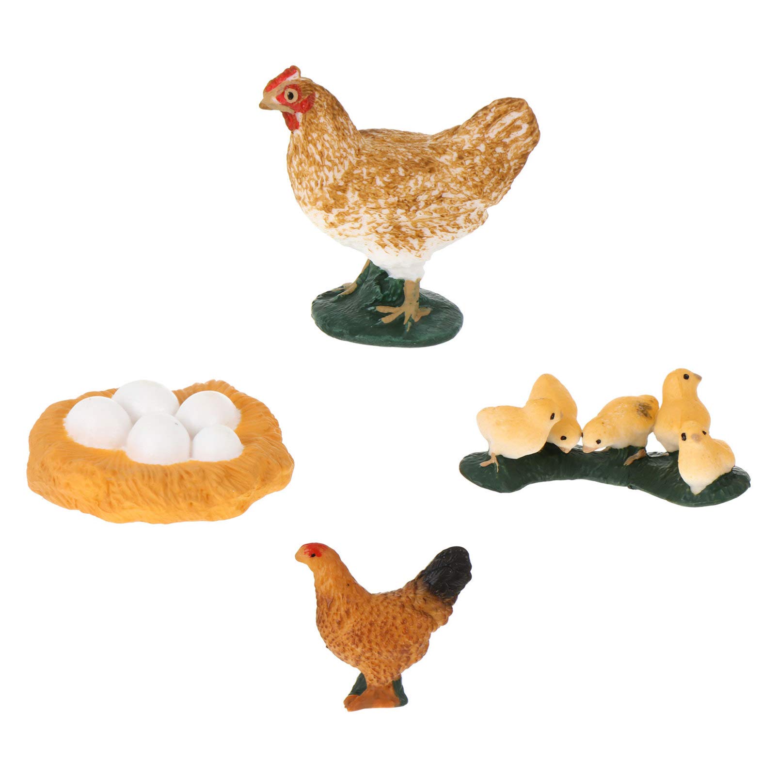 GANAZONO Chicken Life Cycle Model Set - 4PCS Hen Growth Cycle Educational Toys for Kids, Science Classroom & Homeschool Learning, Insect Themed Birthday Party Favors | Perfect for STEM Activities & Nature Exploration